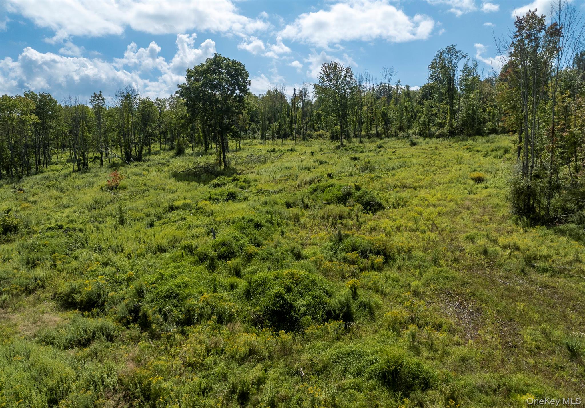 Camby Road Property Photo 15