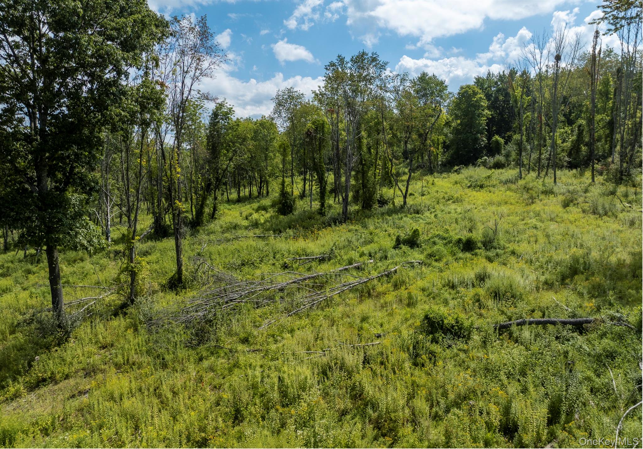Camby Road Property Photo 16