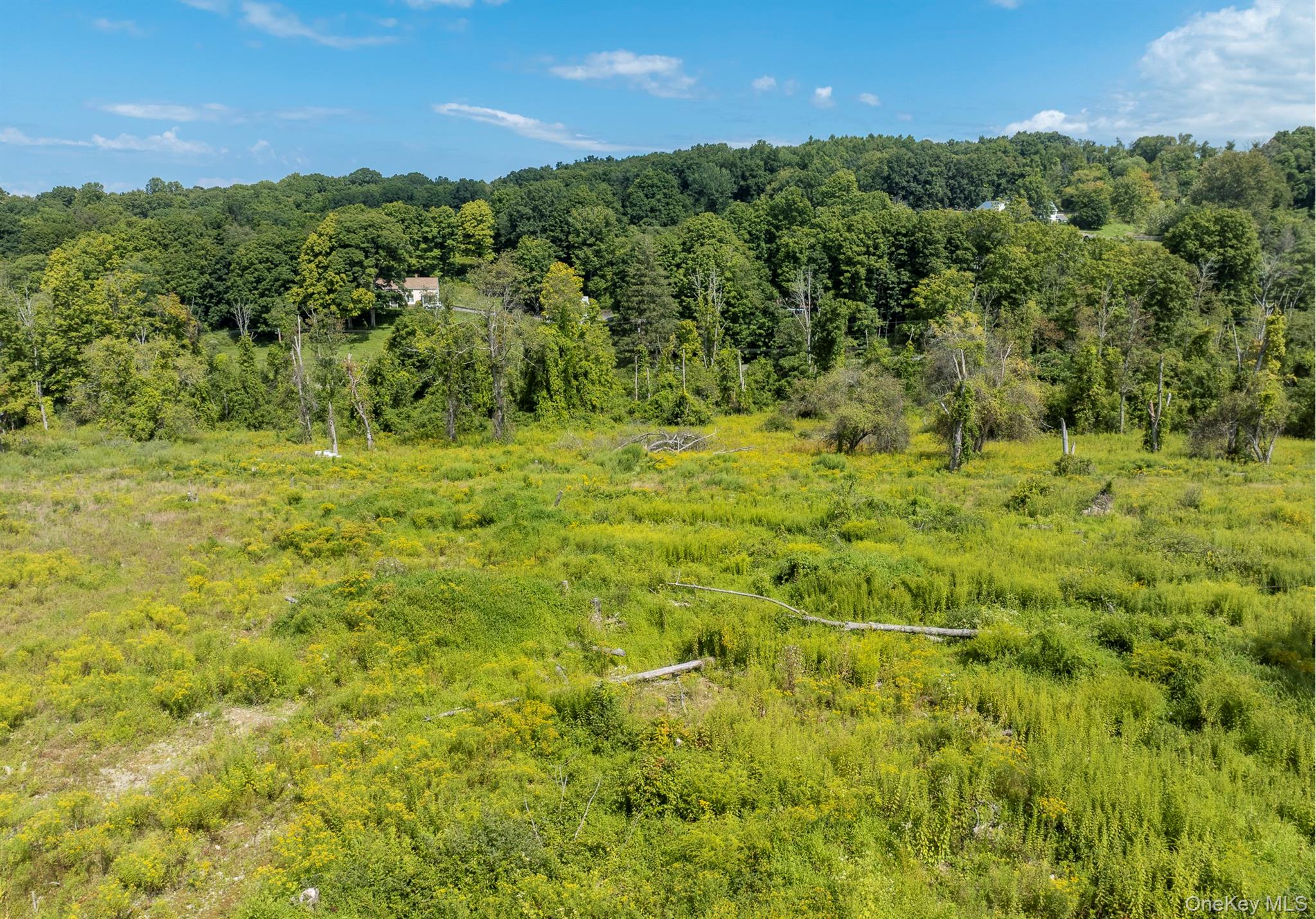 Camby Road Property Photo 17
