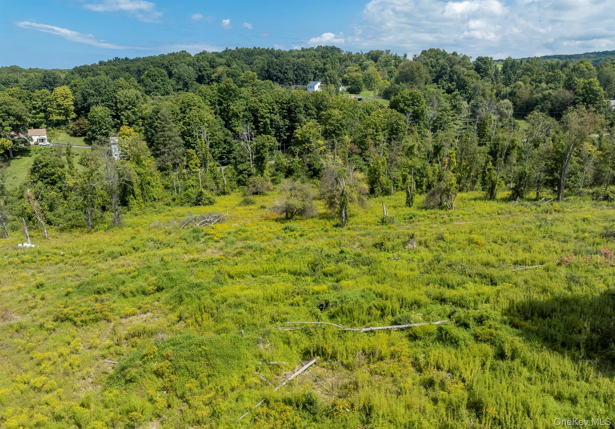 Camby Road Property Photo 18
