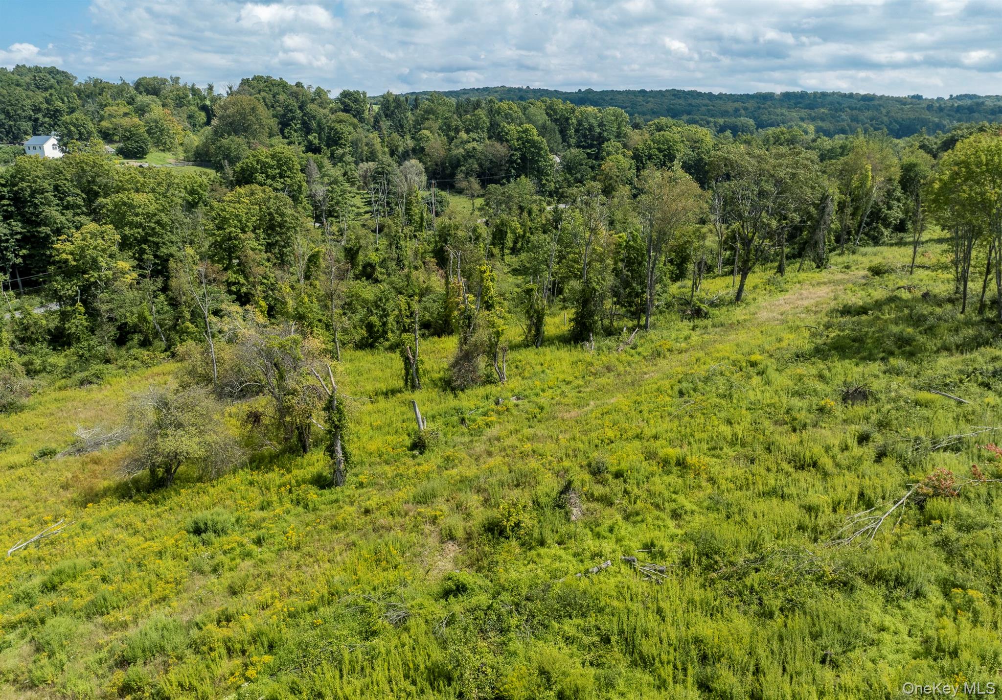 Camby Road Property Photo 19