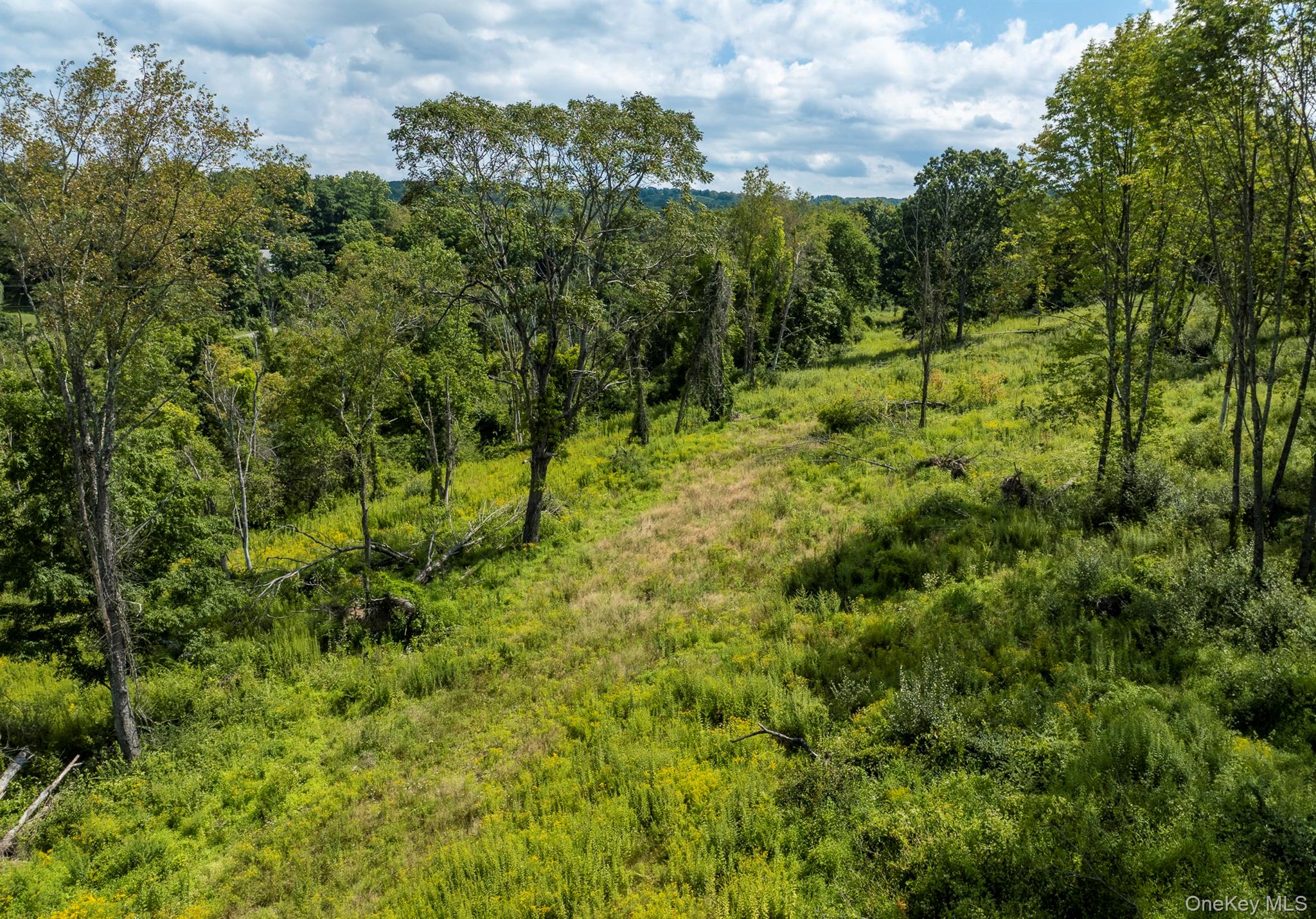 Camby Road Property Photo 20