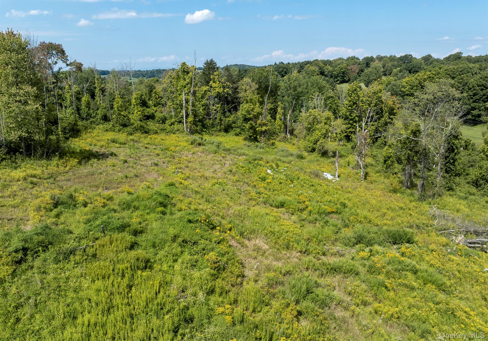 Camby Road Property Photo 23