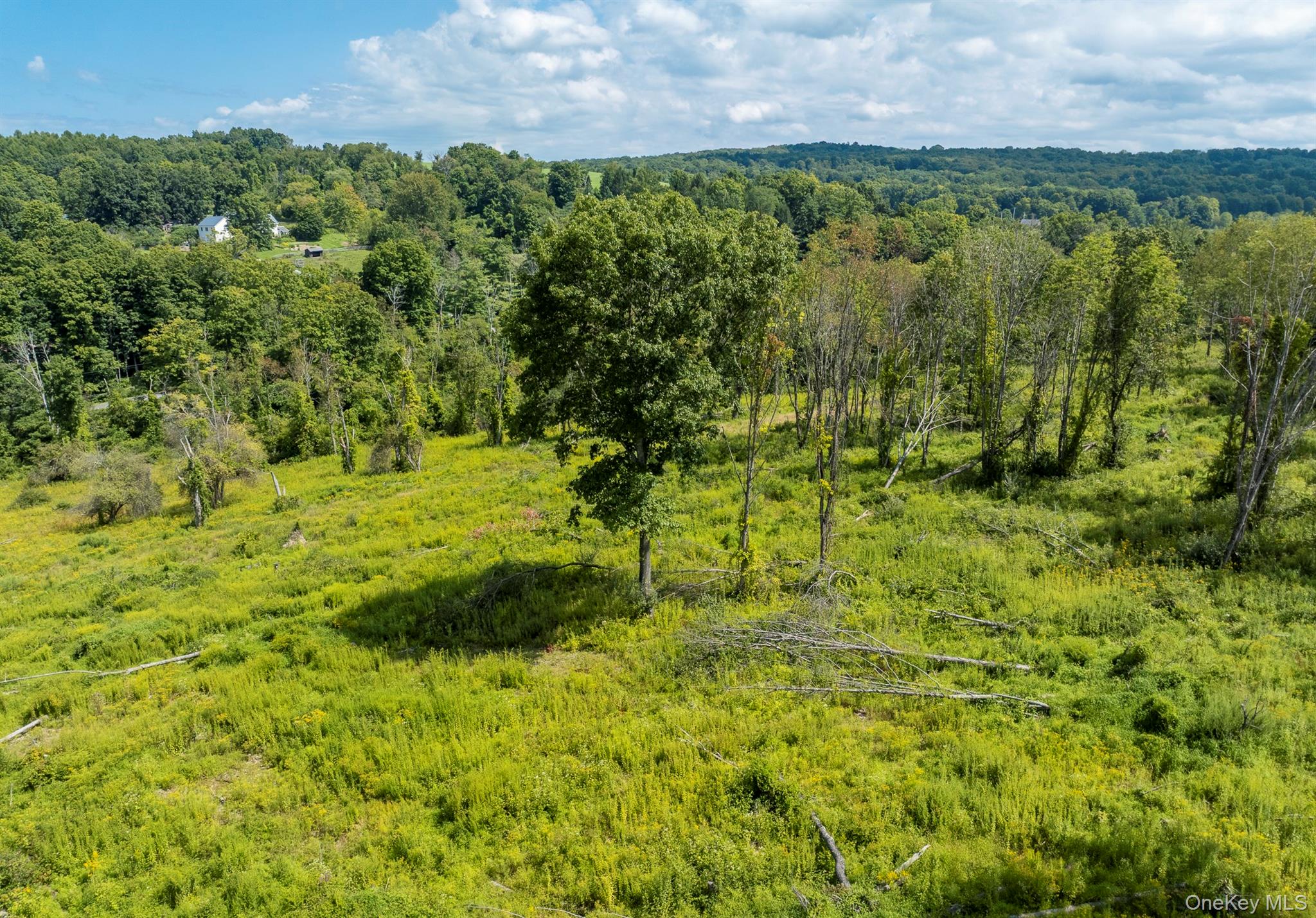 Camby Road Property Photo 24