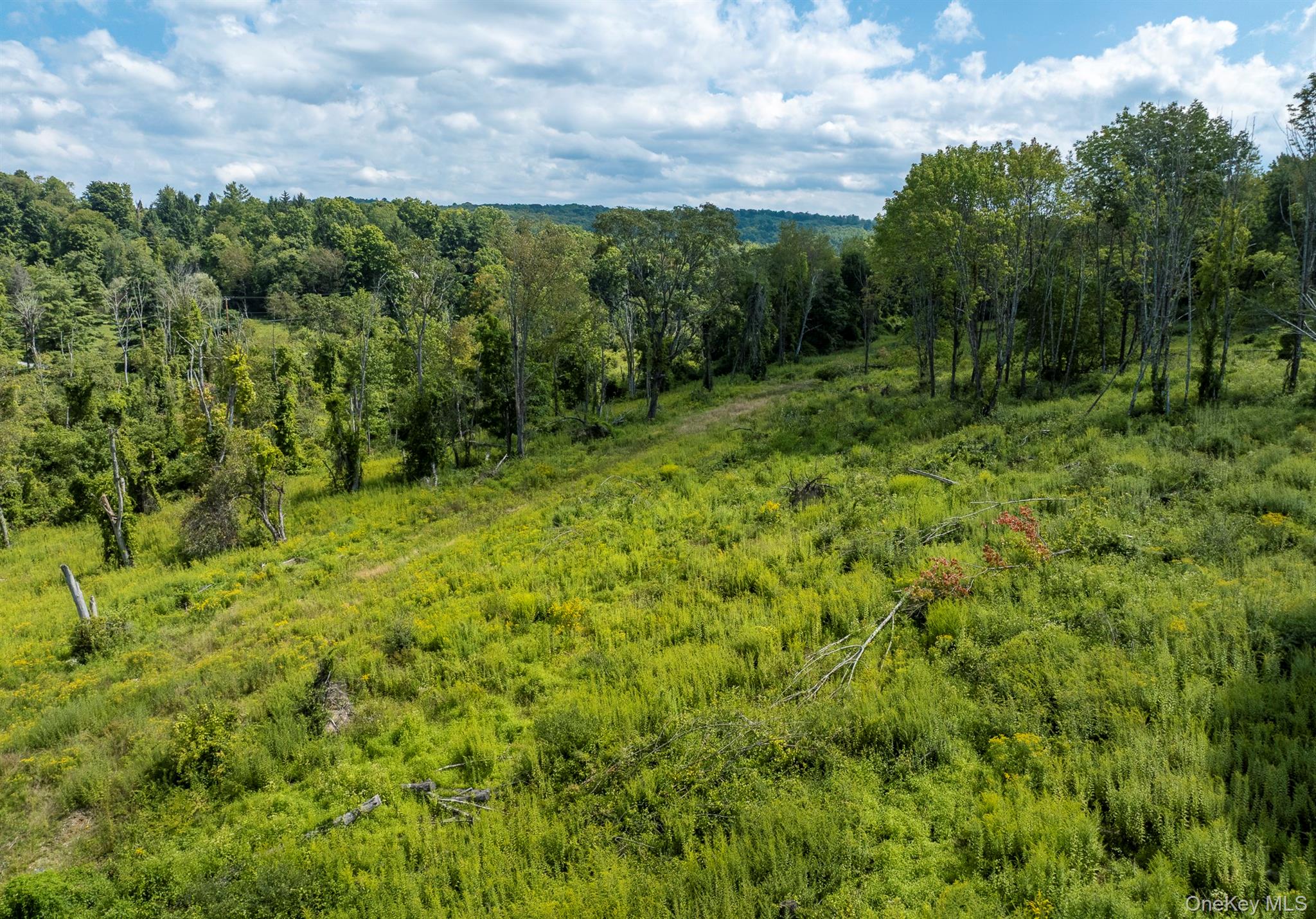 Camby Road Property Photo 25