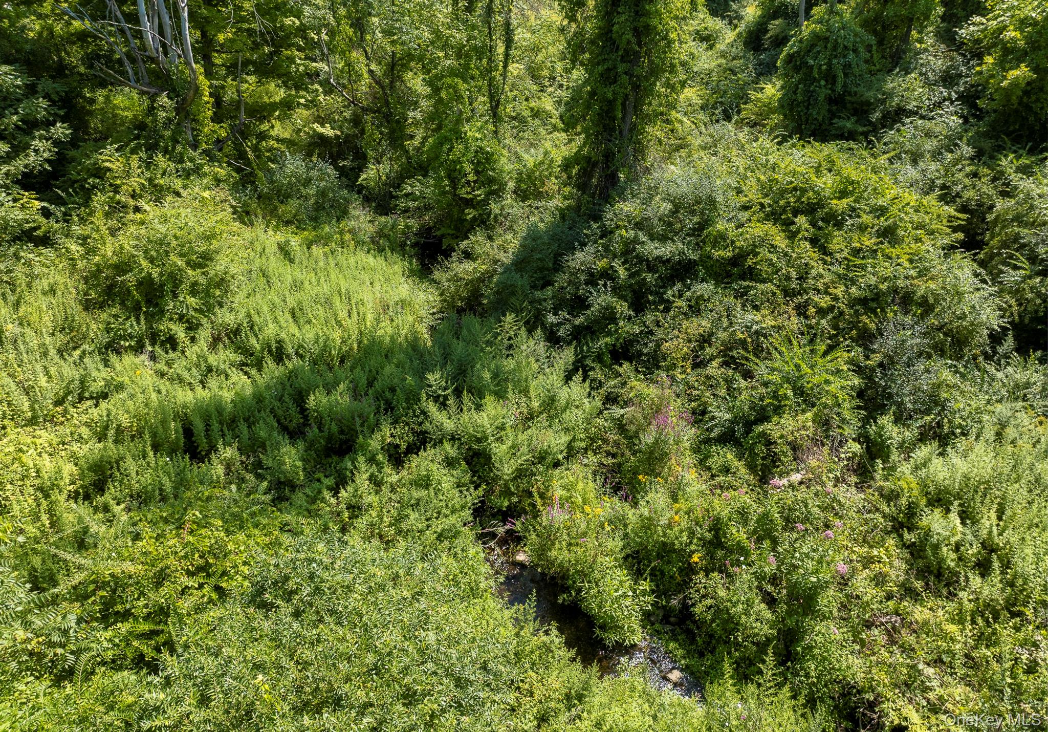 Camby Road Property Photo 26