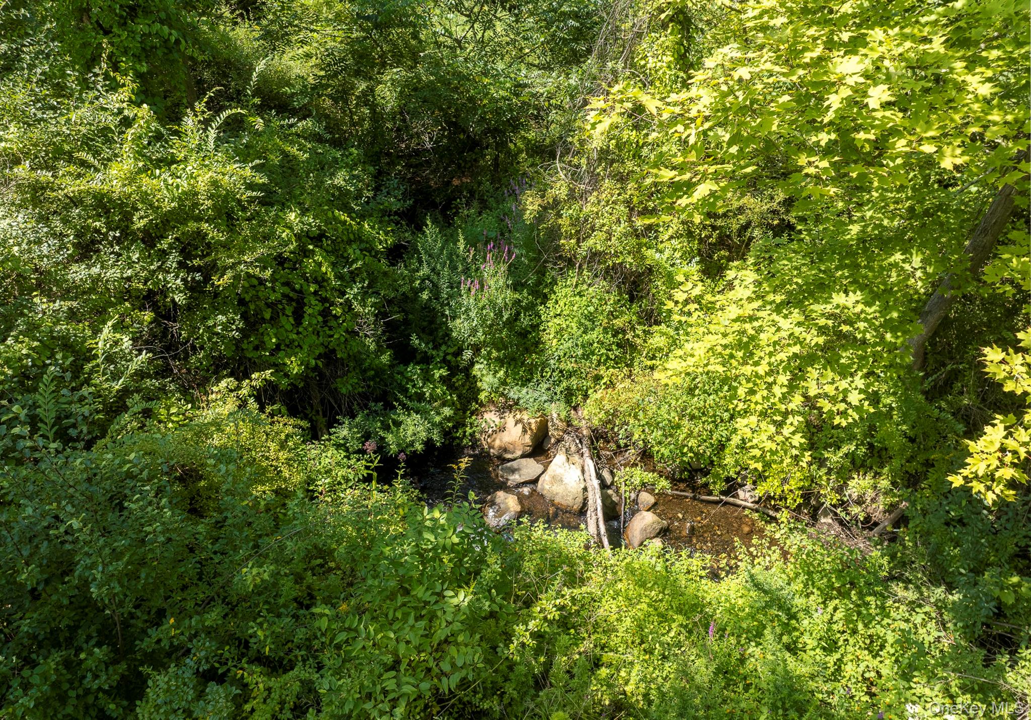 Camby Road Property Photo 27
