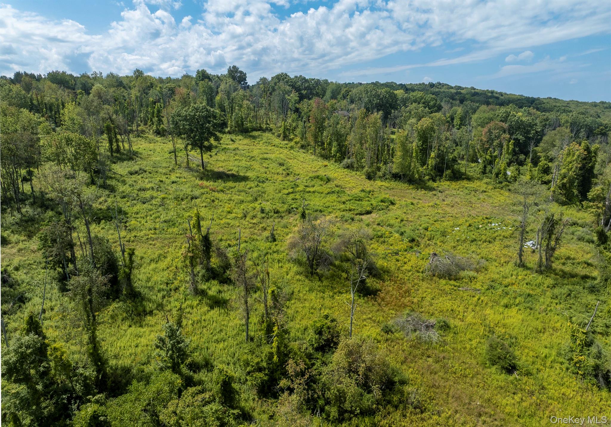 Camby Road Property Photo 30