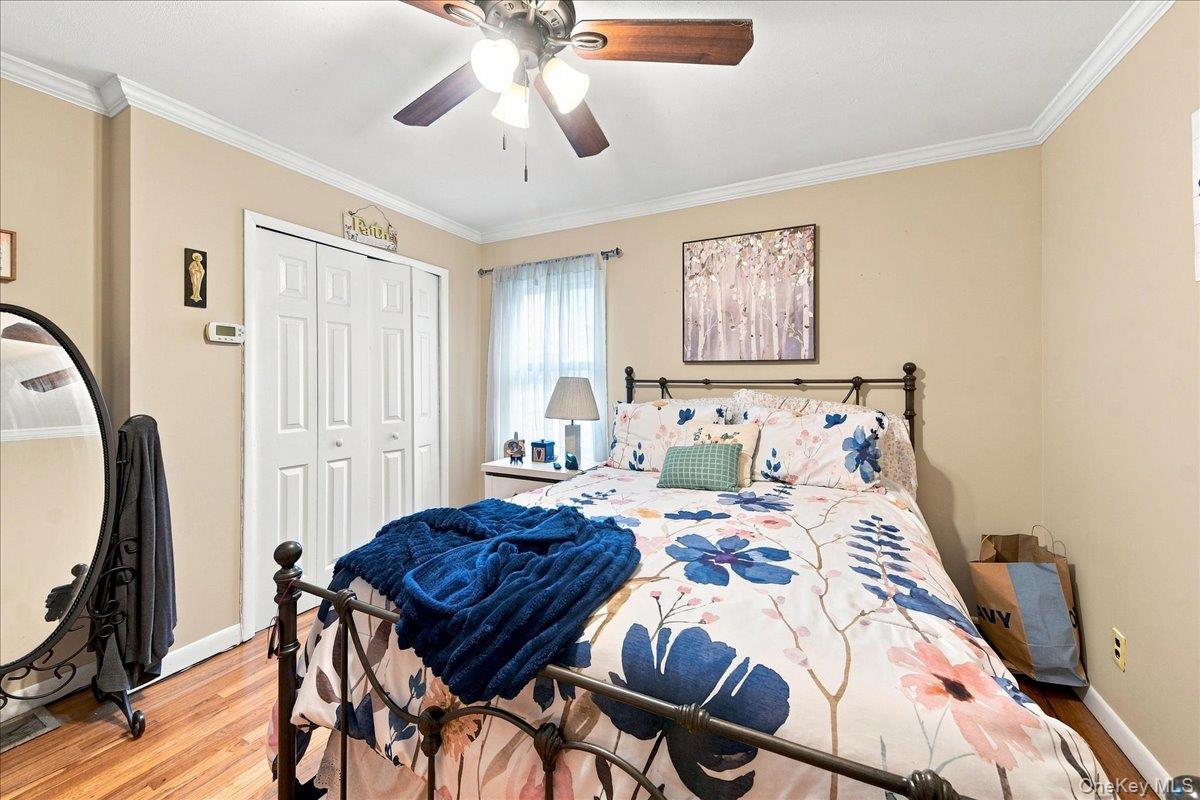 34 Fairfax Road Property Photo 10