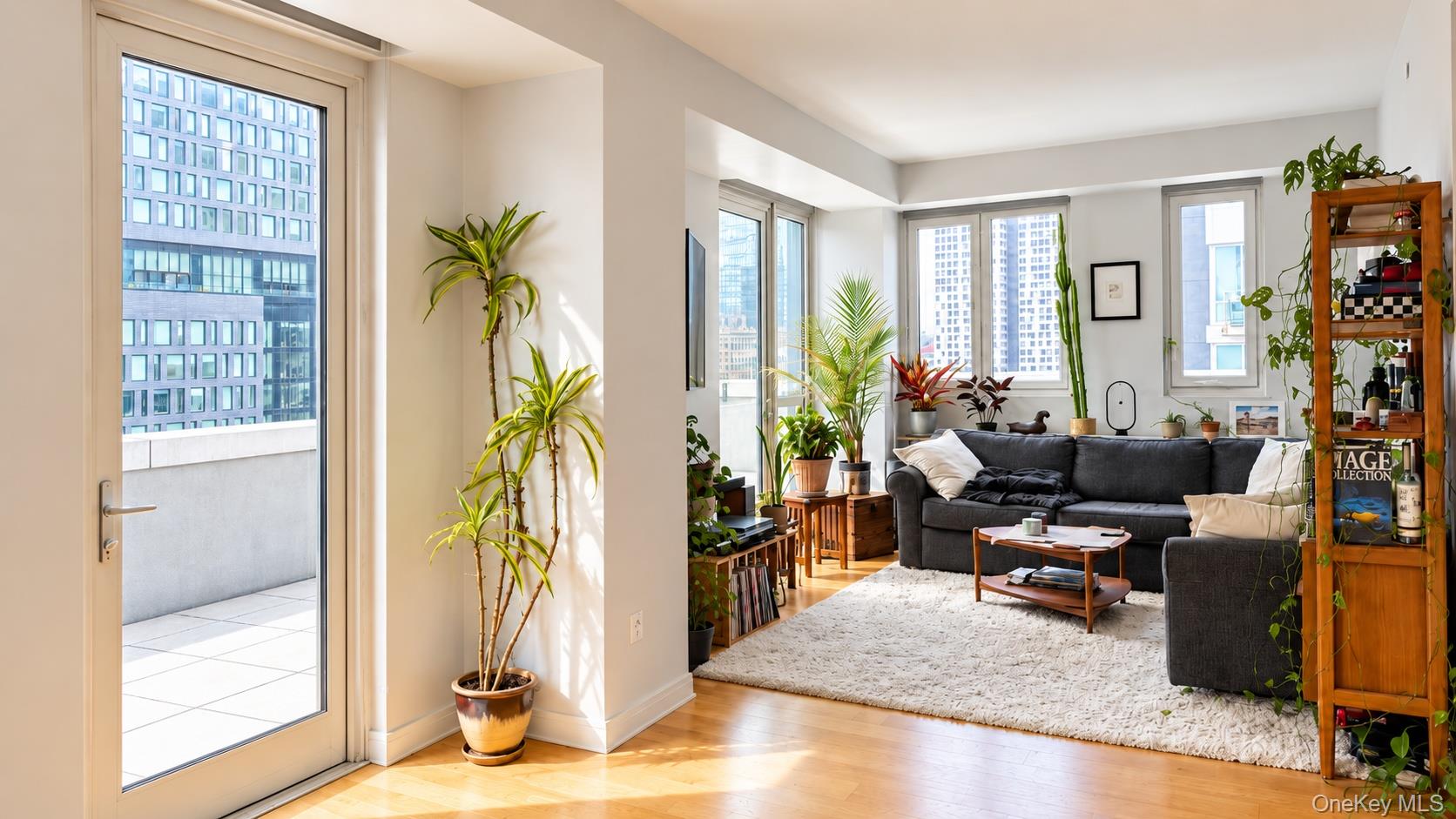 2416 Queens Plaza 7b Property Photo 2