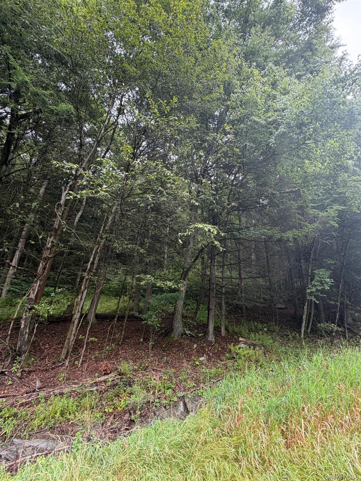 0 State Highway 97 Property Photo 4
