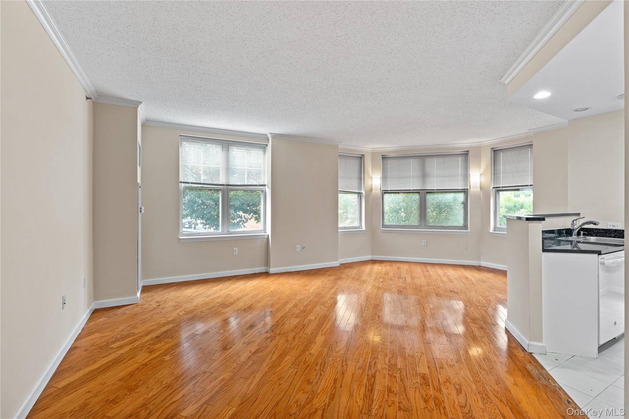 300 Mamaroneck Avenue 201 Property Photo 9