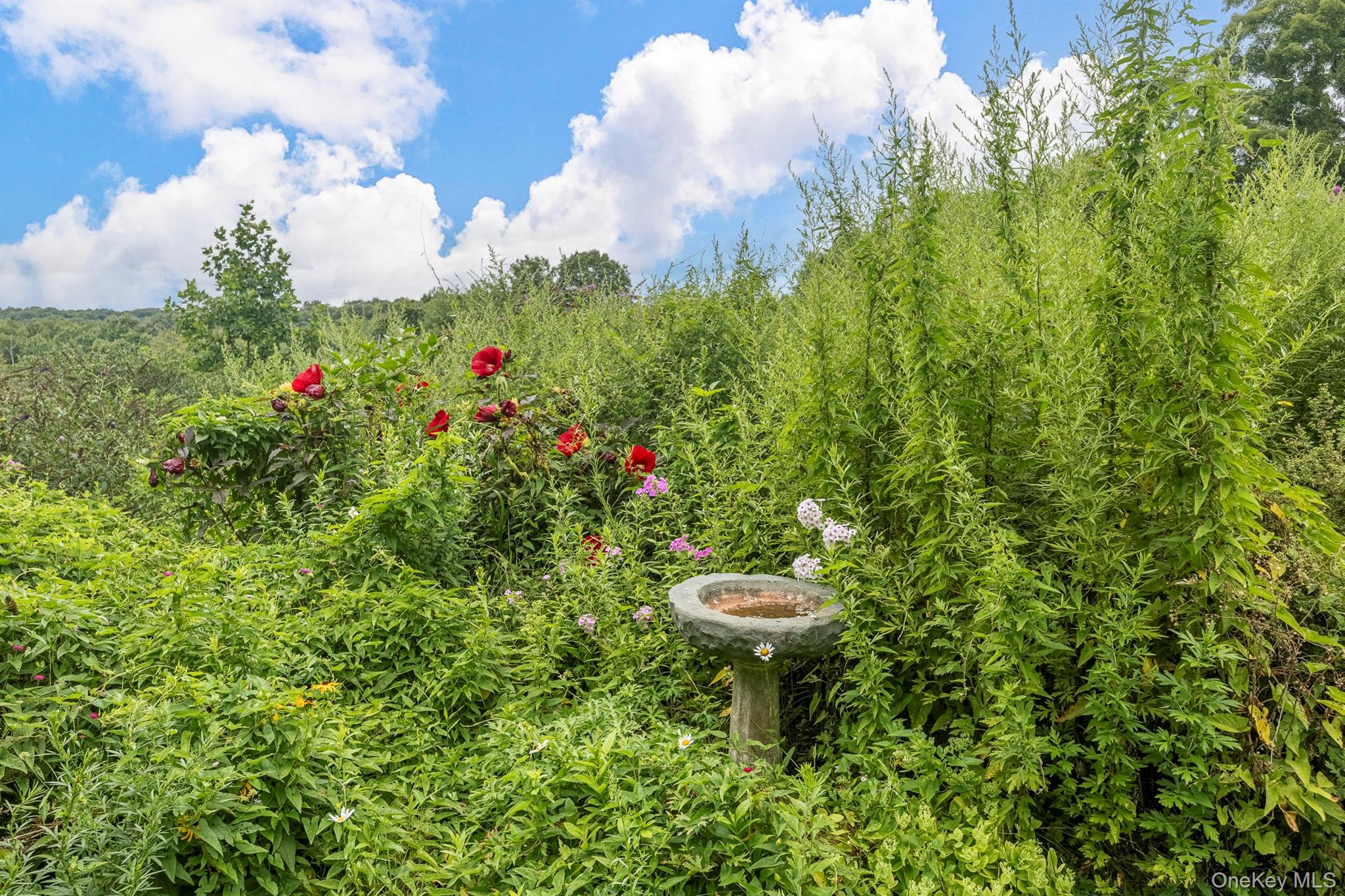 278 Hawley Road Property Photo 48