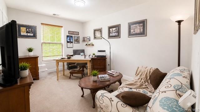 62 Mill Drive Property Photo 19