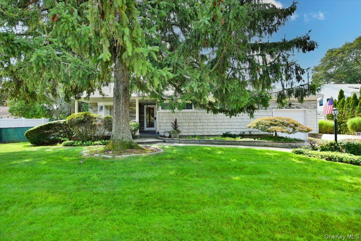 204 Franklin Street Property Photo 4