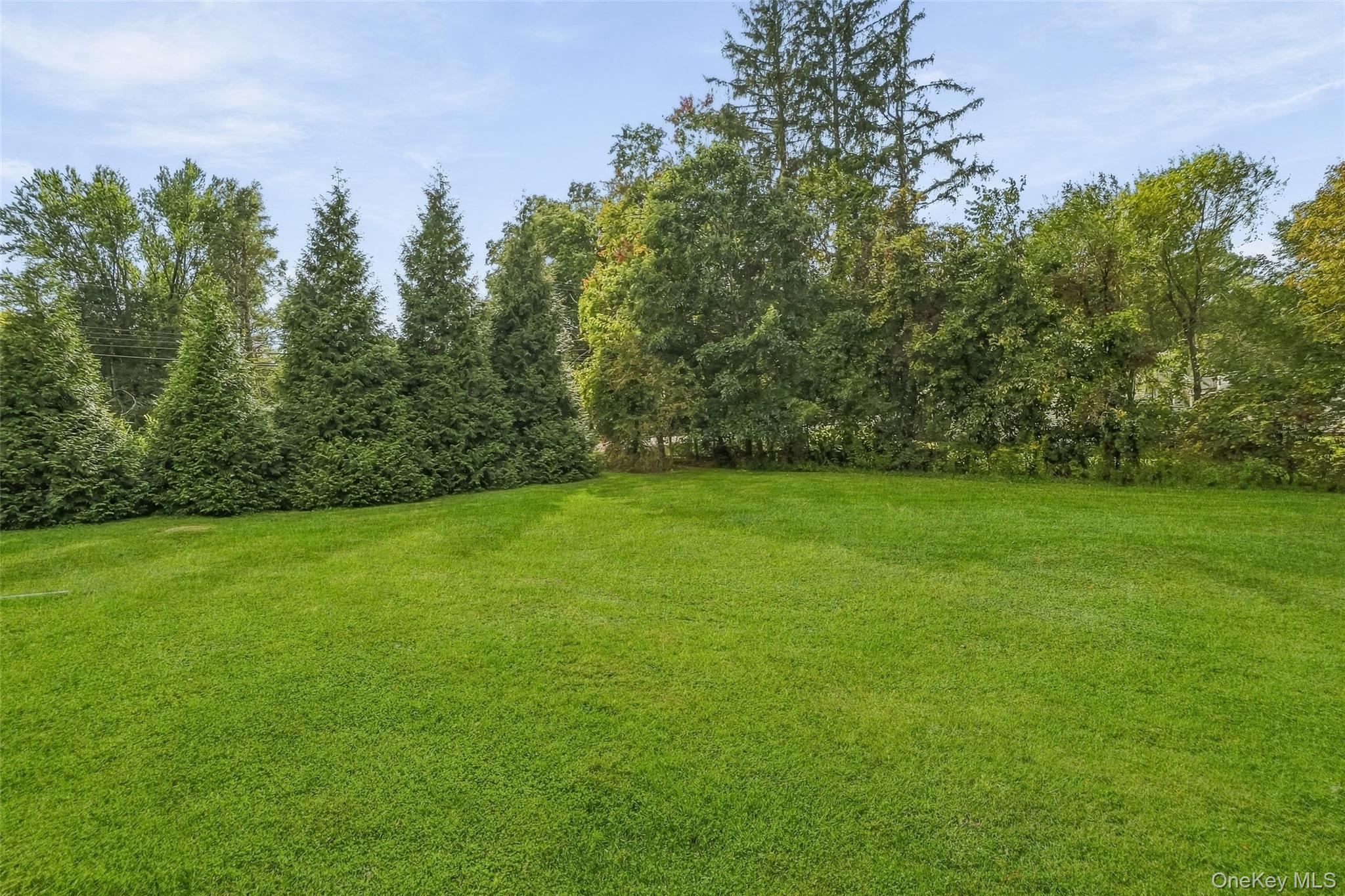 929 Freedom Plains Road Property Photo 45