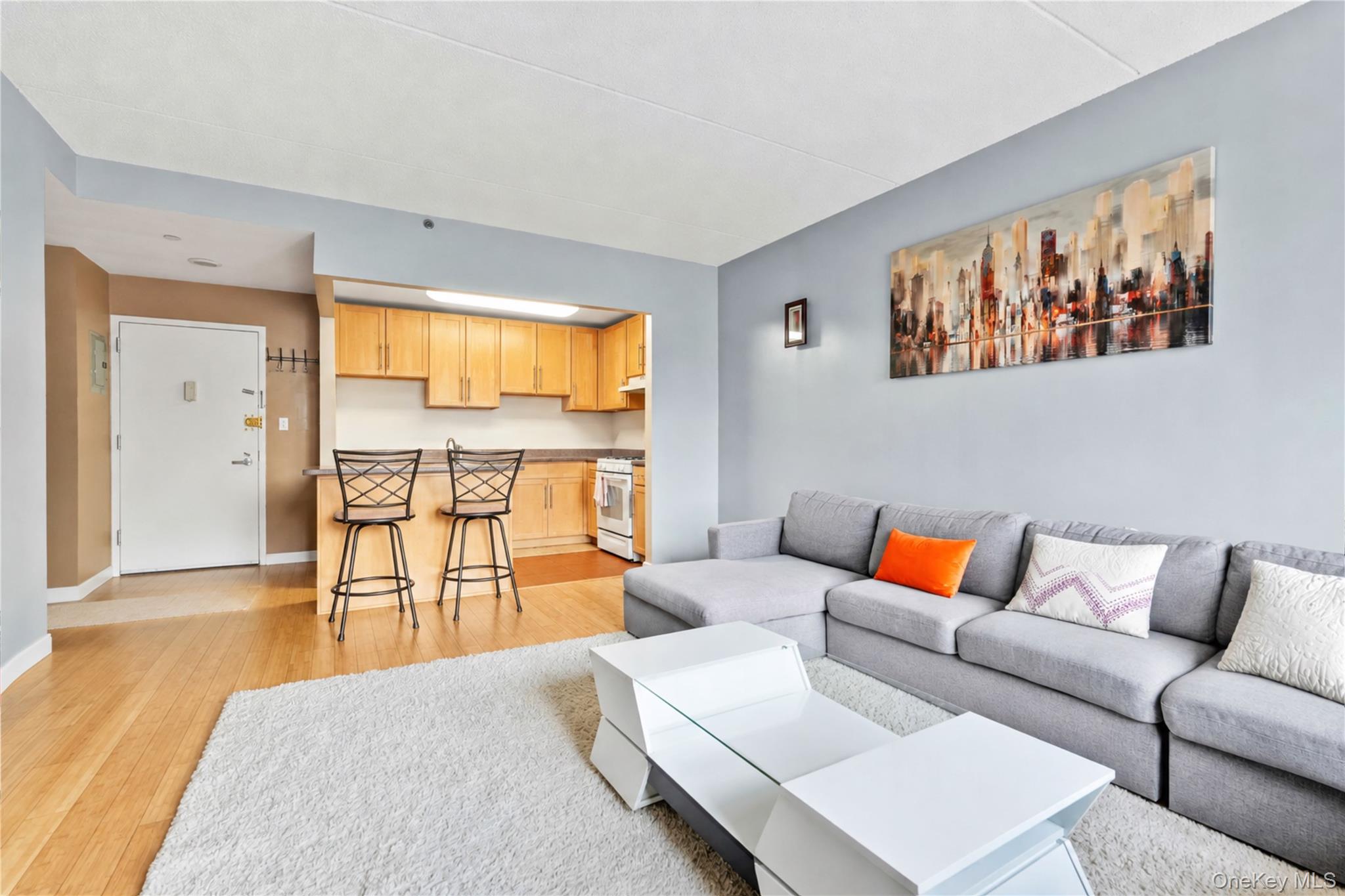837 Washington Avenue 3b Property Photo 3