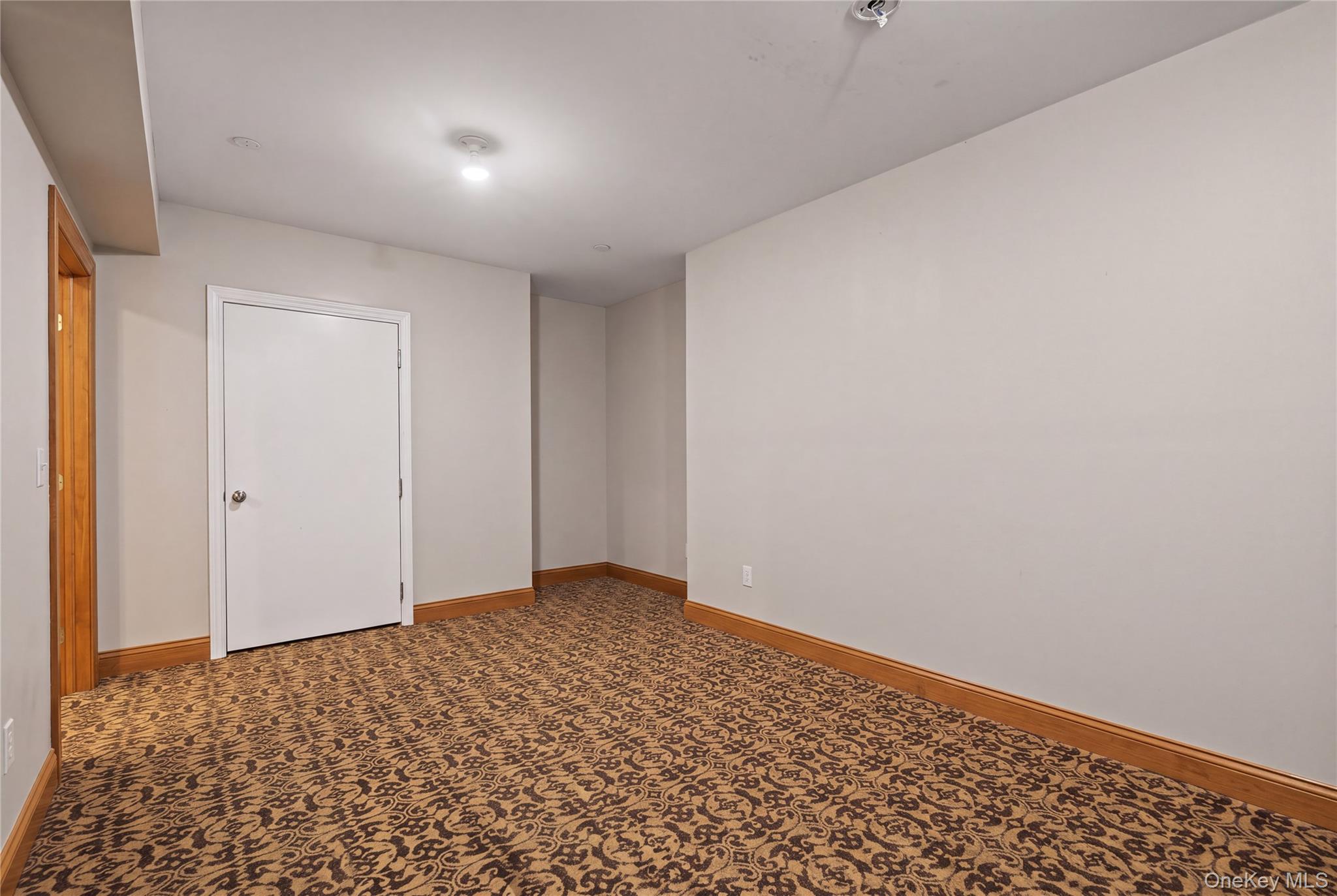 33 Morris Road Property Photo 42