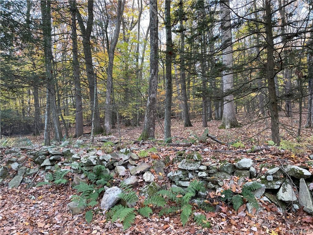 13 Birch Street Property Photo 9