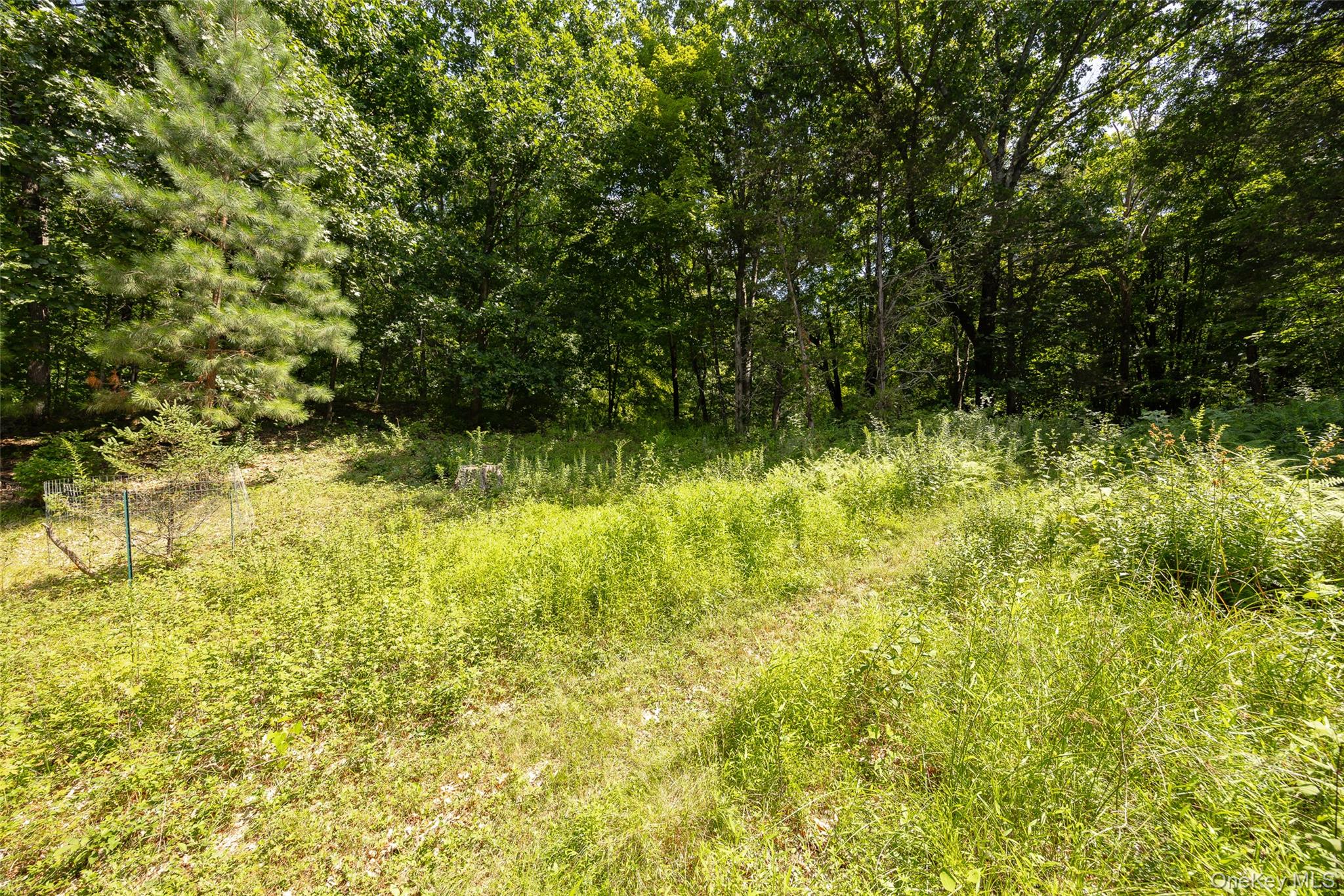 710 Pumpkin Lane Property Photo 31