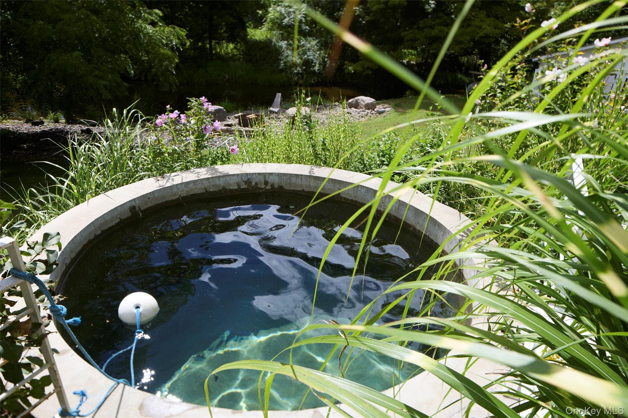 19 Cottage Lane Property Photo 6