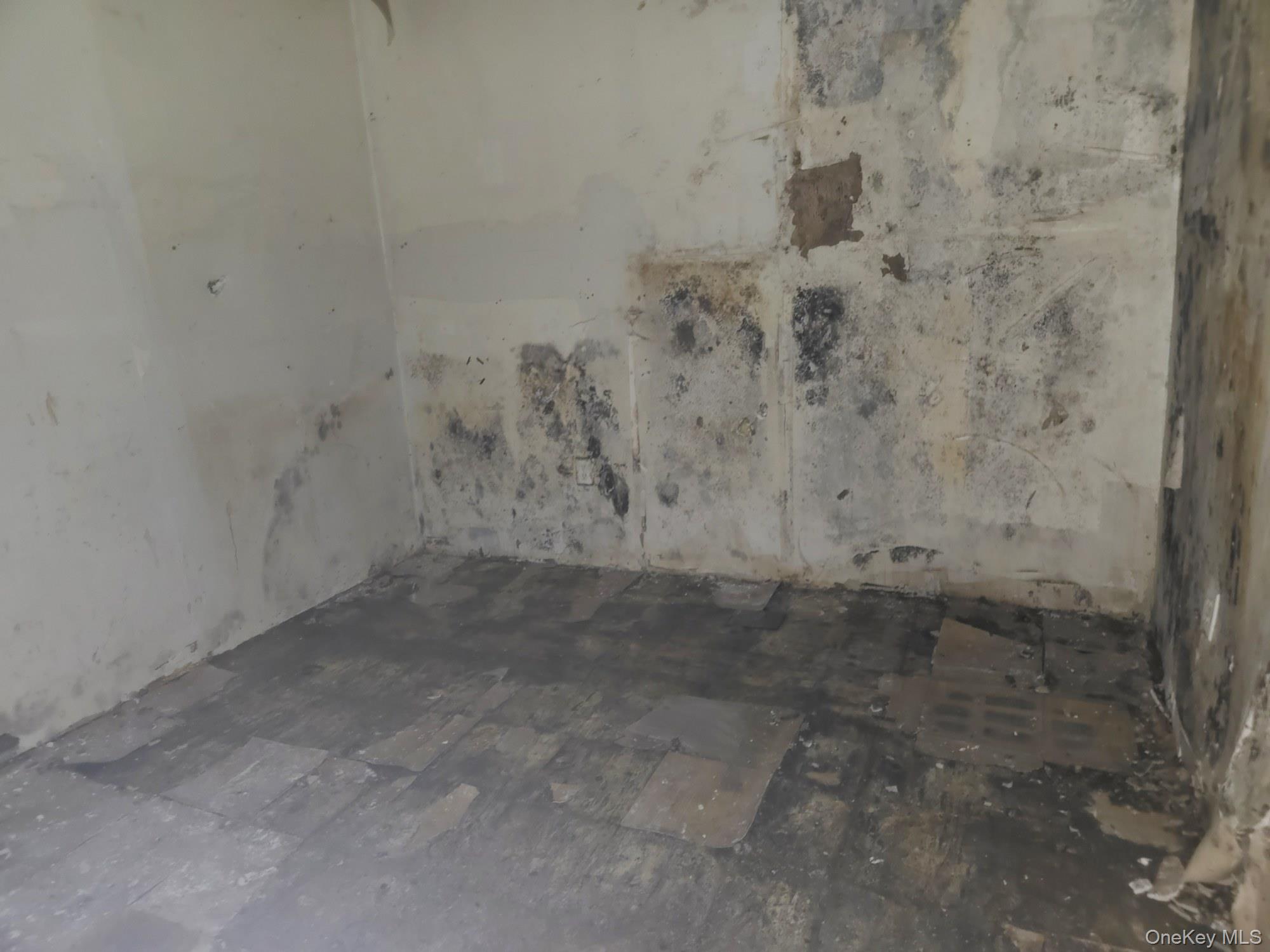 633 Baker Avenue Property Photo 4