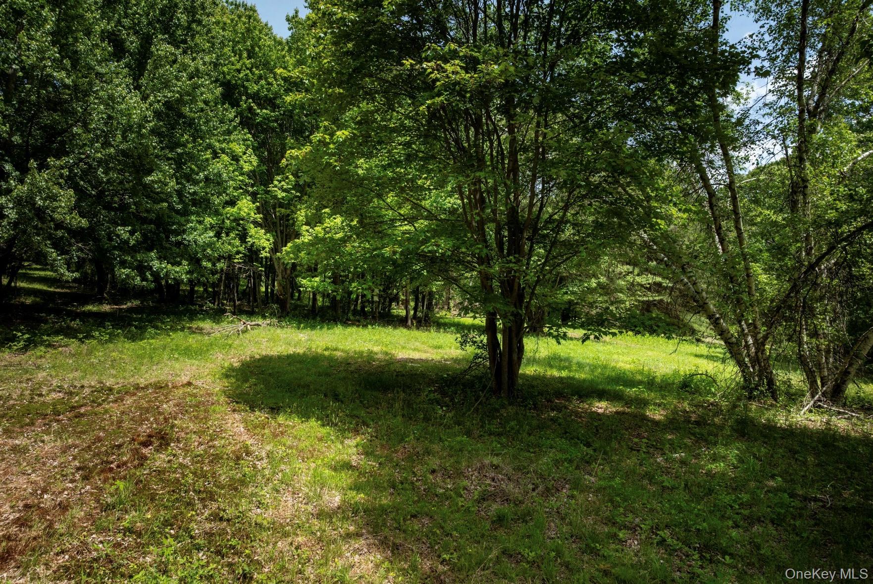 00 Route 7 Property Photo 4
