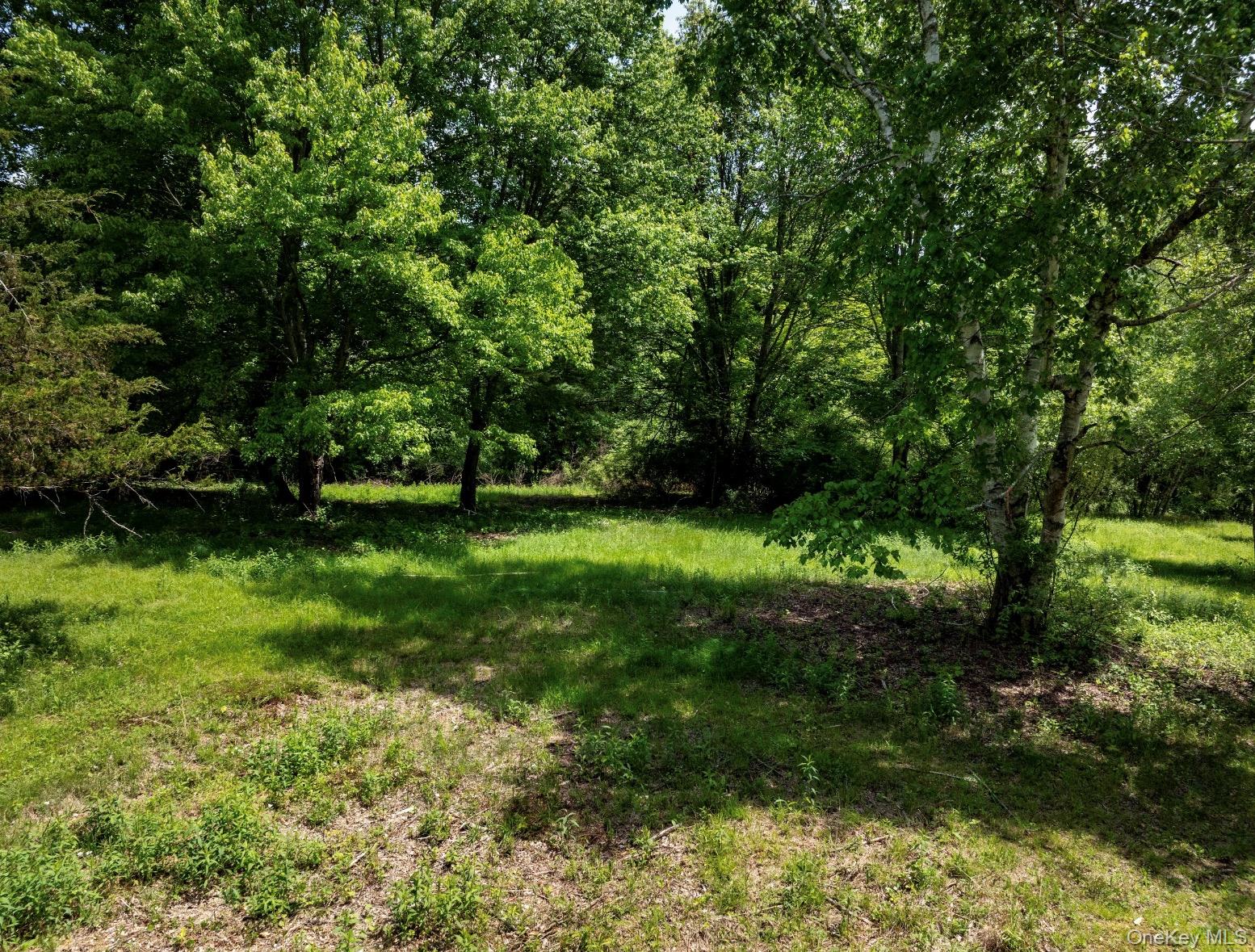 00 Route 7 Property Photo 5