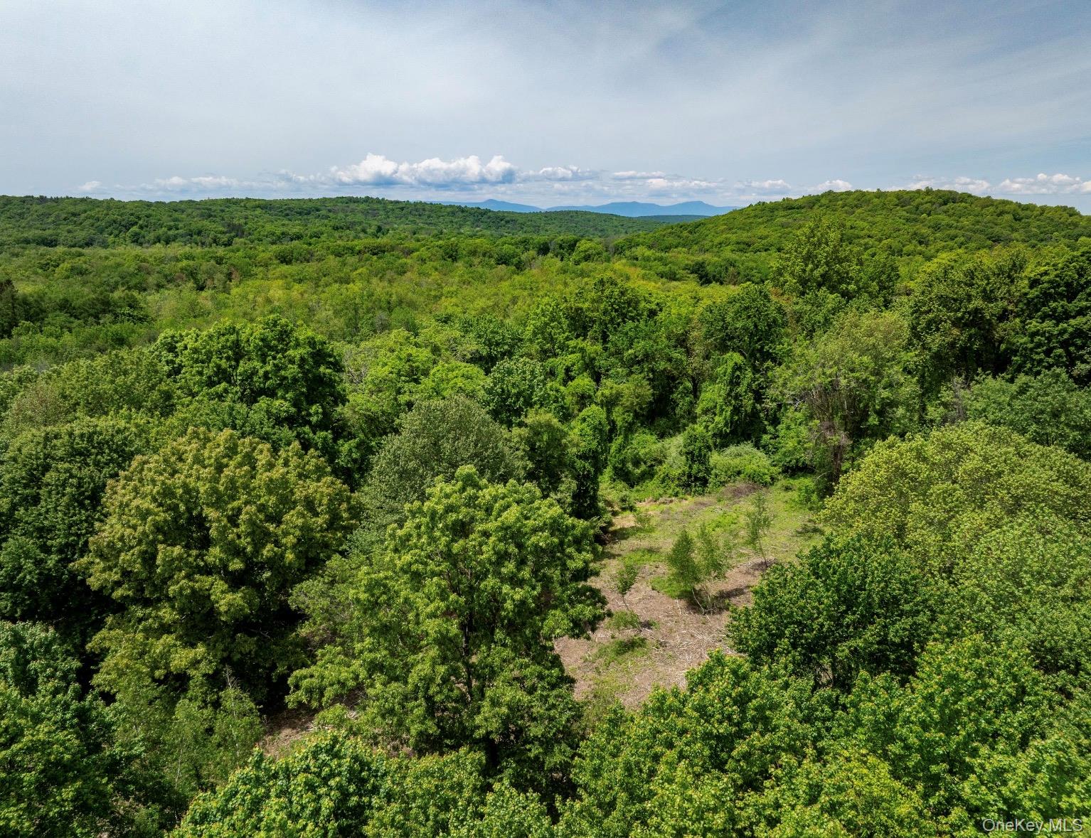 00 Route 7 Property Photo 11