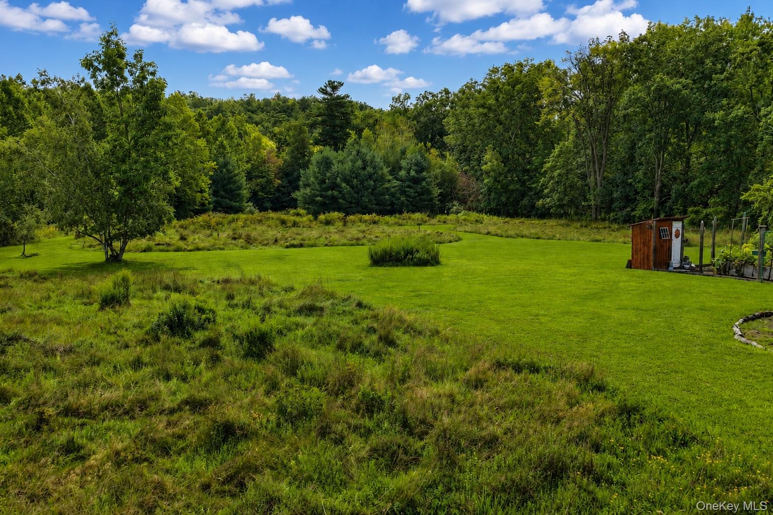 8250 Route 32 Property Photo 49