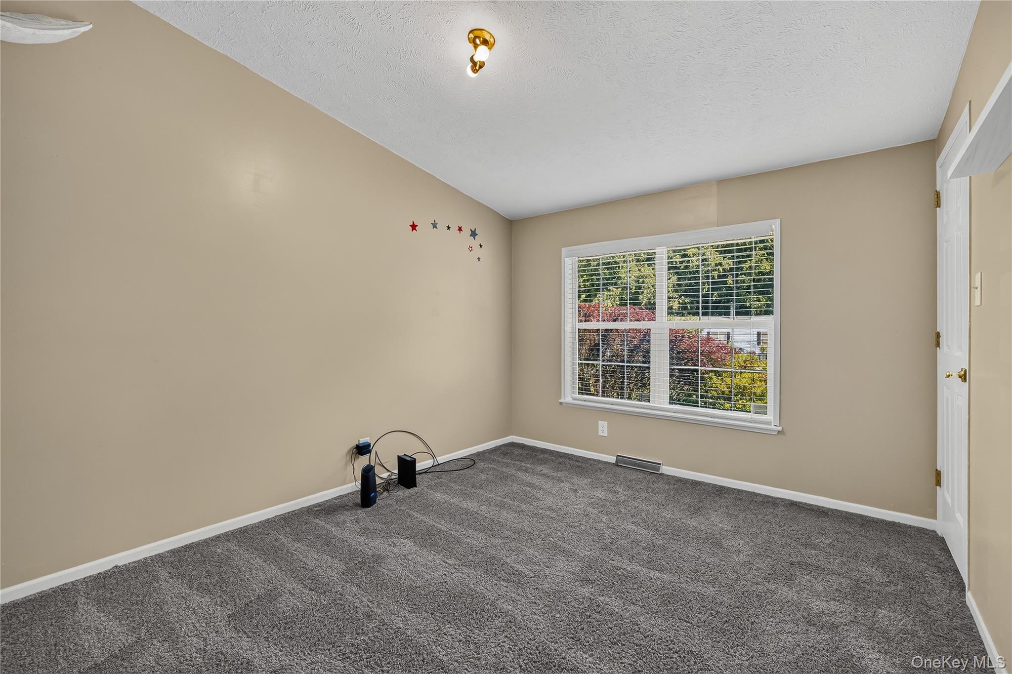 43 Palm Dr Property Photo 25