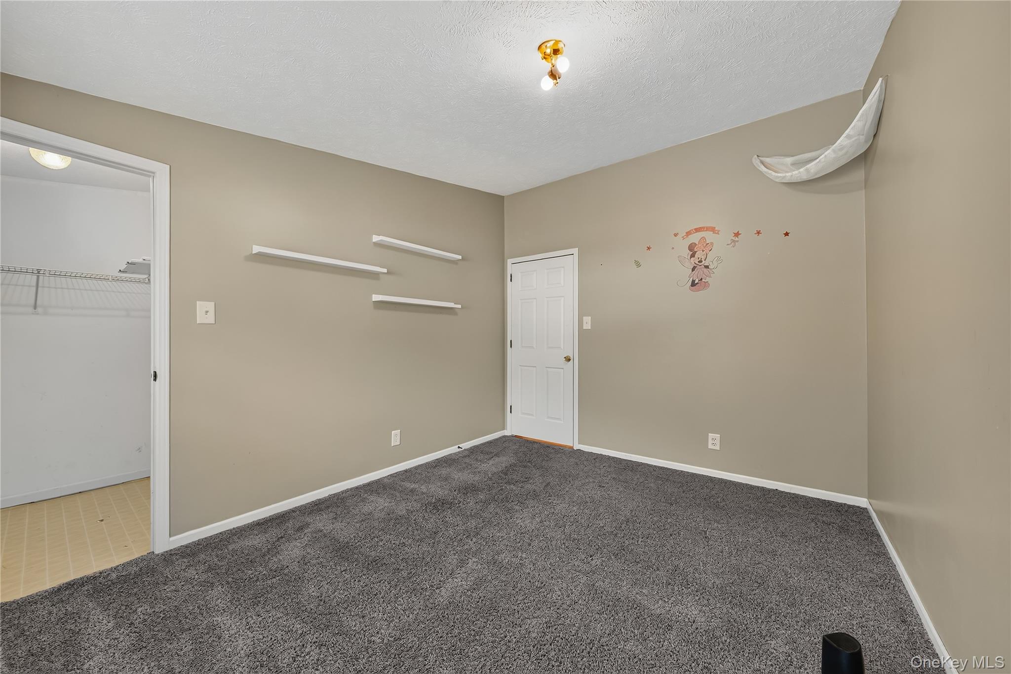 43 Palm Dr Property Photo 26