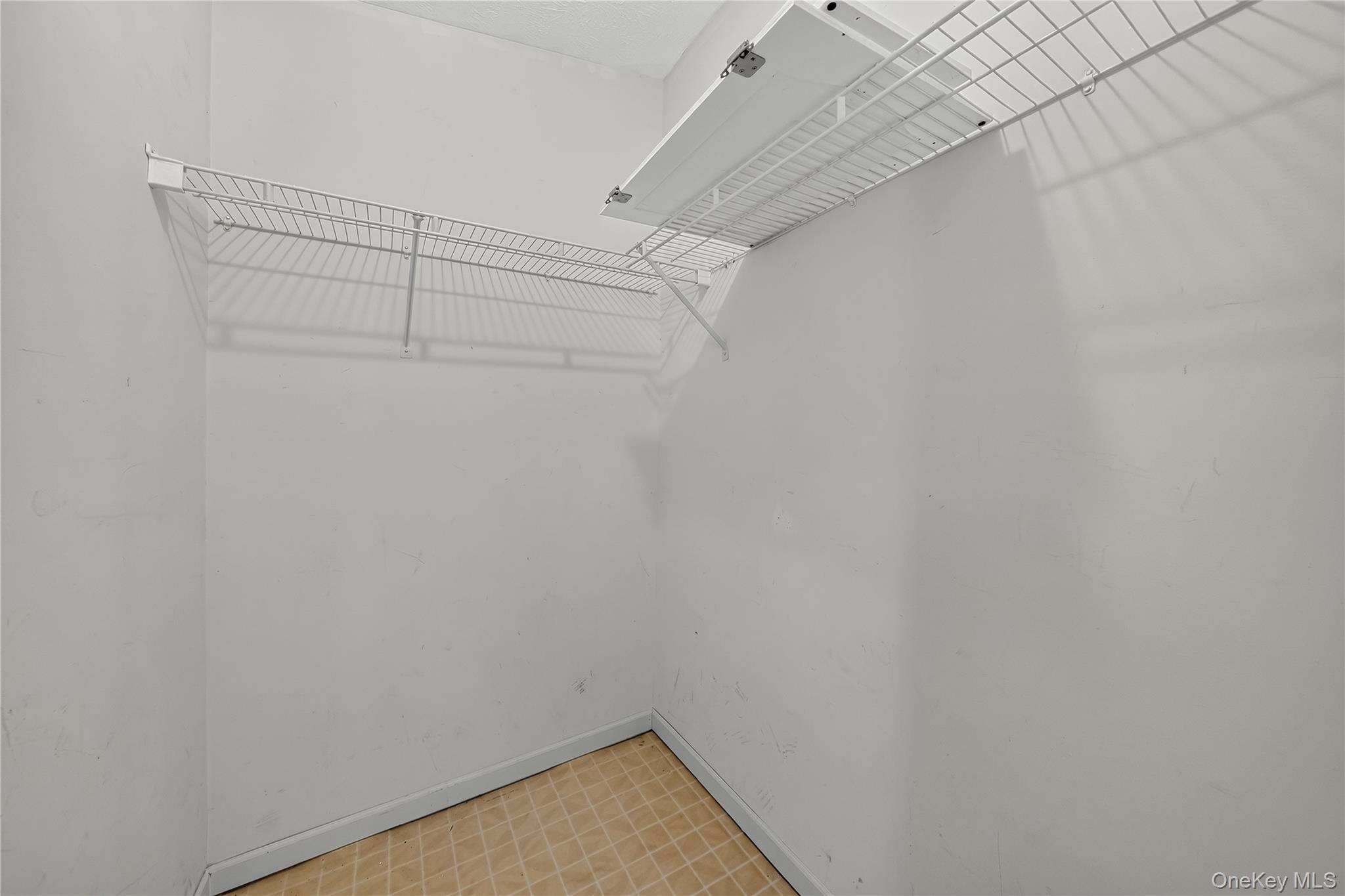 43 Palm Dr Property Photo 27