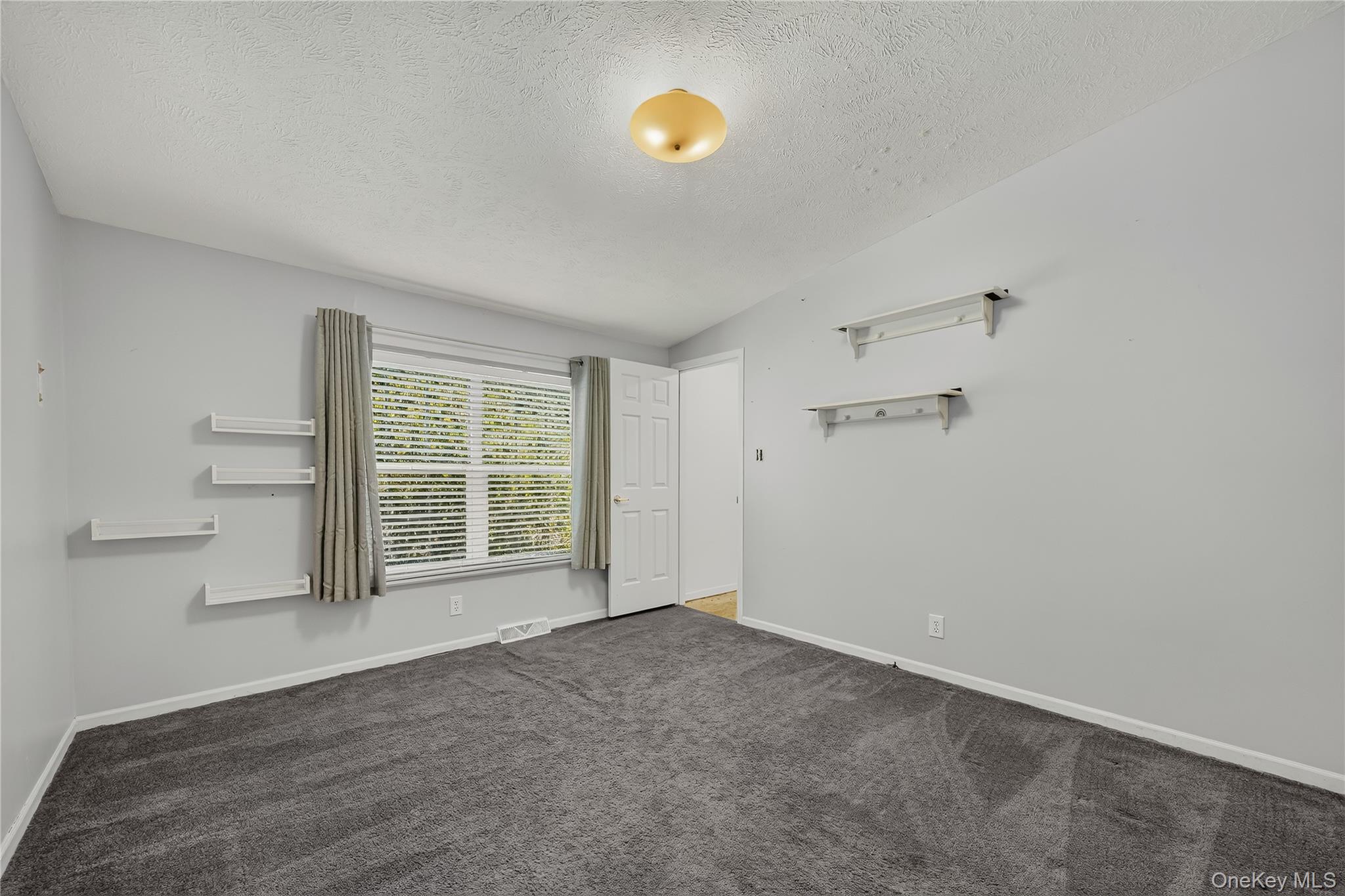 43 Palm Dr Property Photo 29