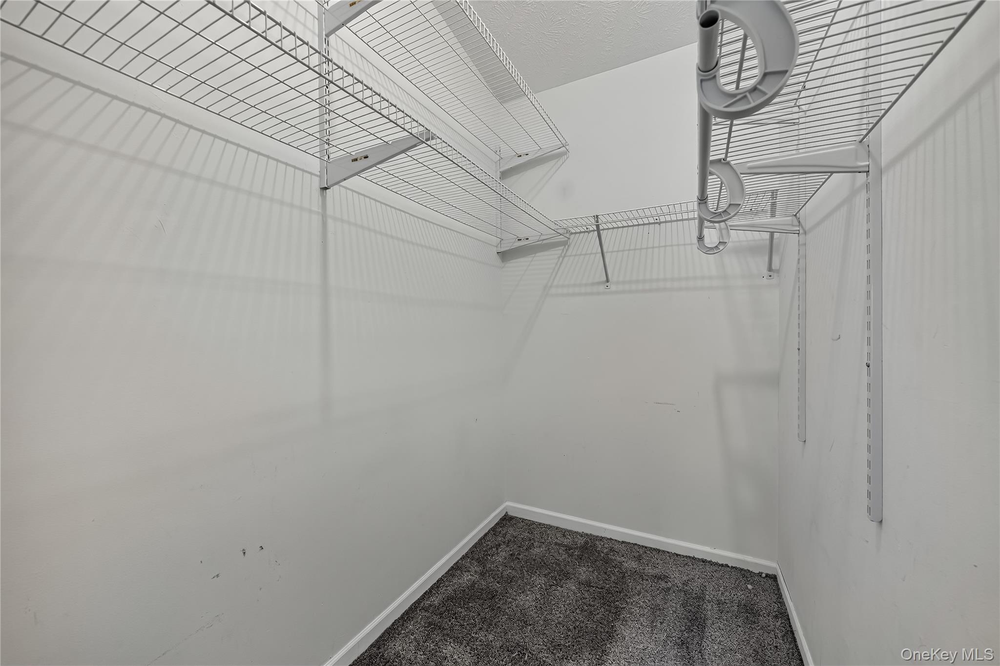 43 Palm Dr Property Photo 35