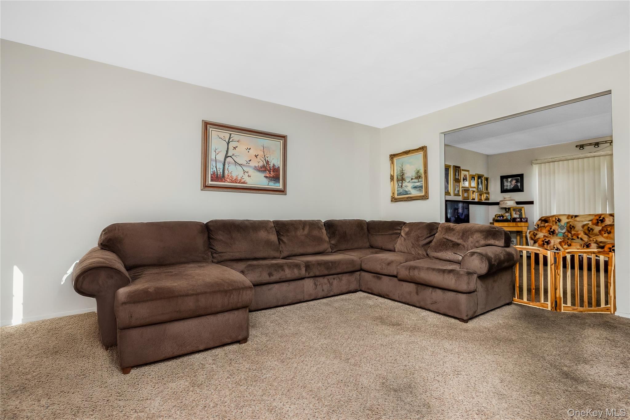 11 Shade Tree Lane Property Photo 7