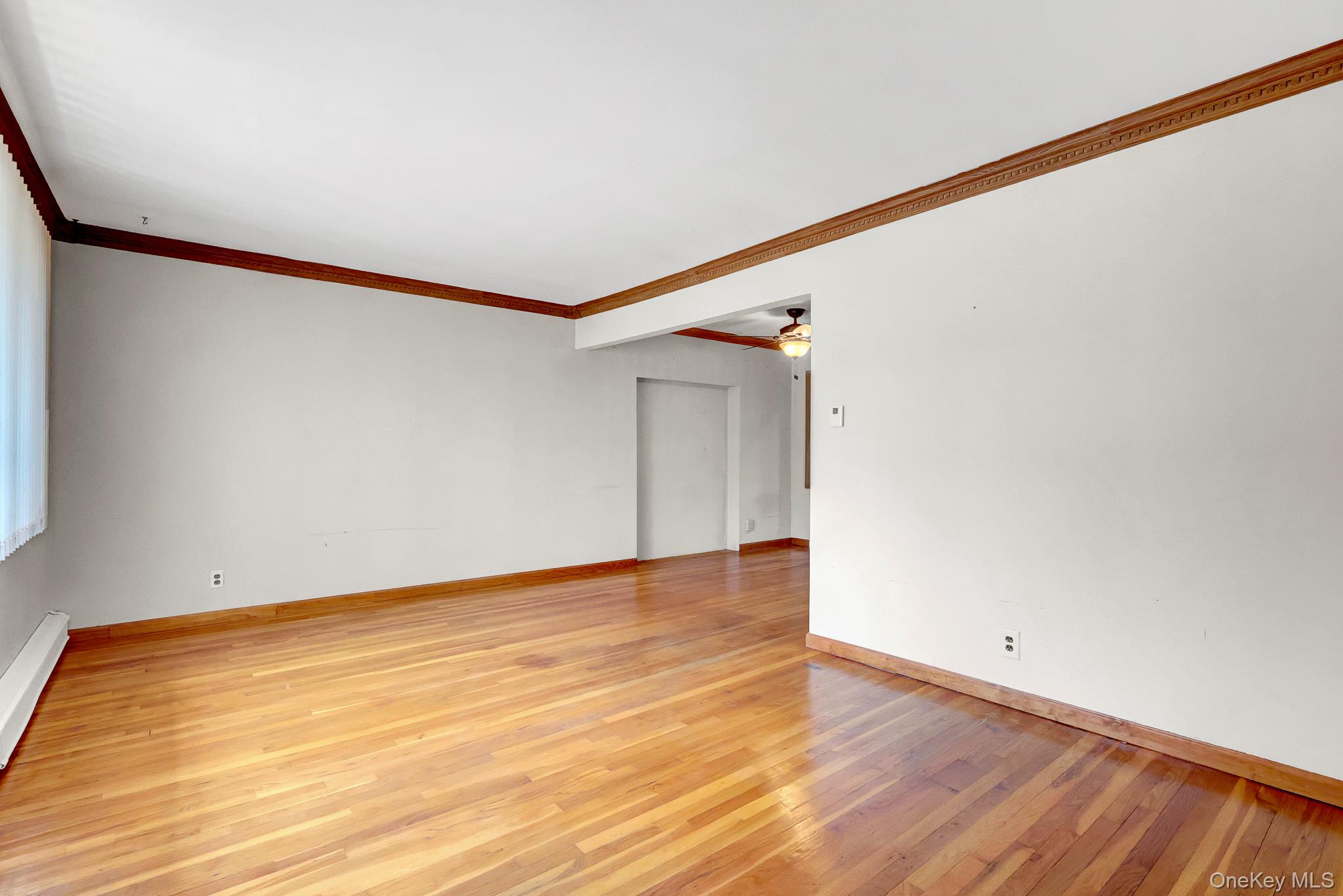 19 Essex Road Property Photo 5