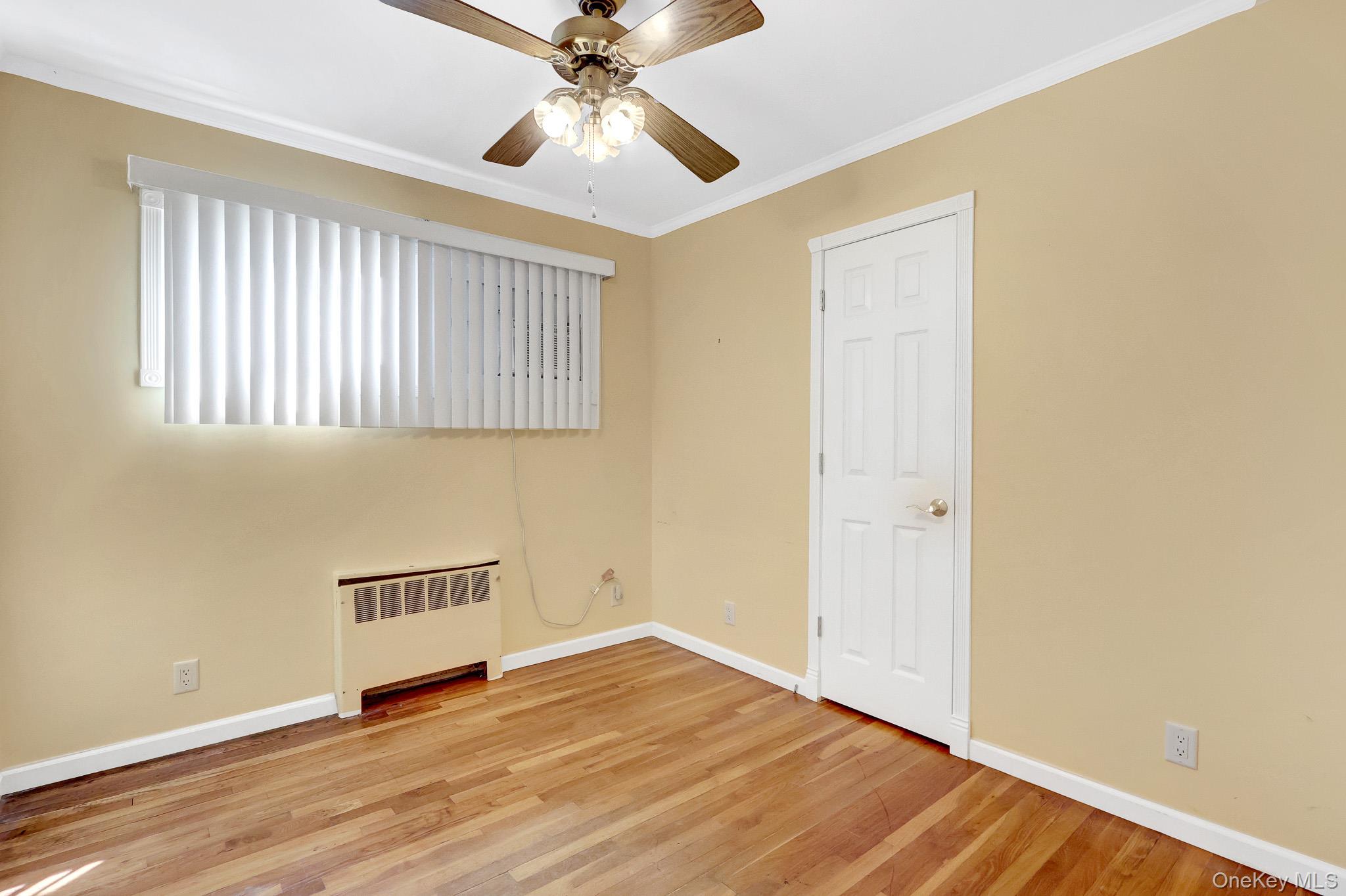 19 Essex Road Property Photo 14