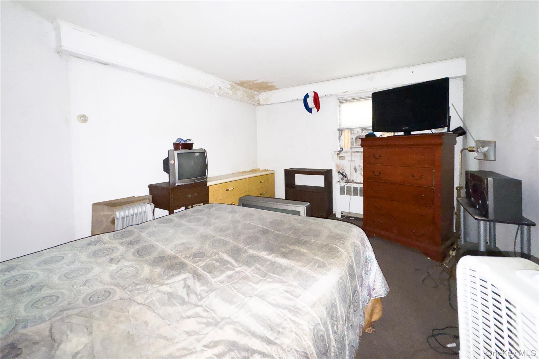 58 Palmer Road Property Photo 18