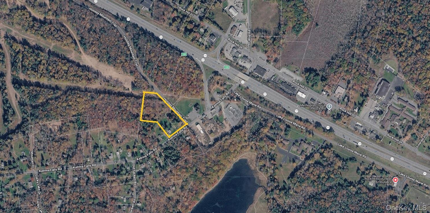Tbd Holiday Mountain Trail Property Photo 3