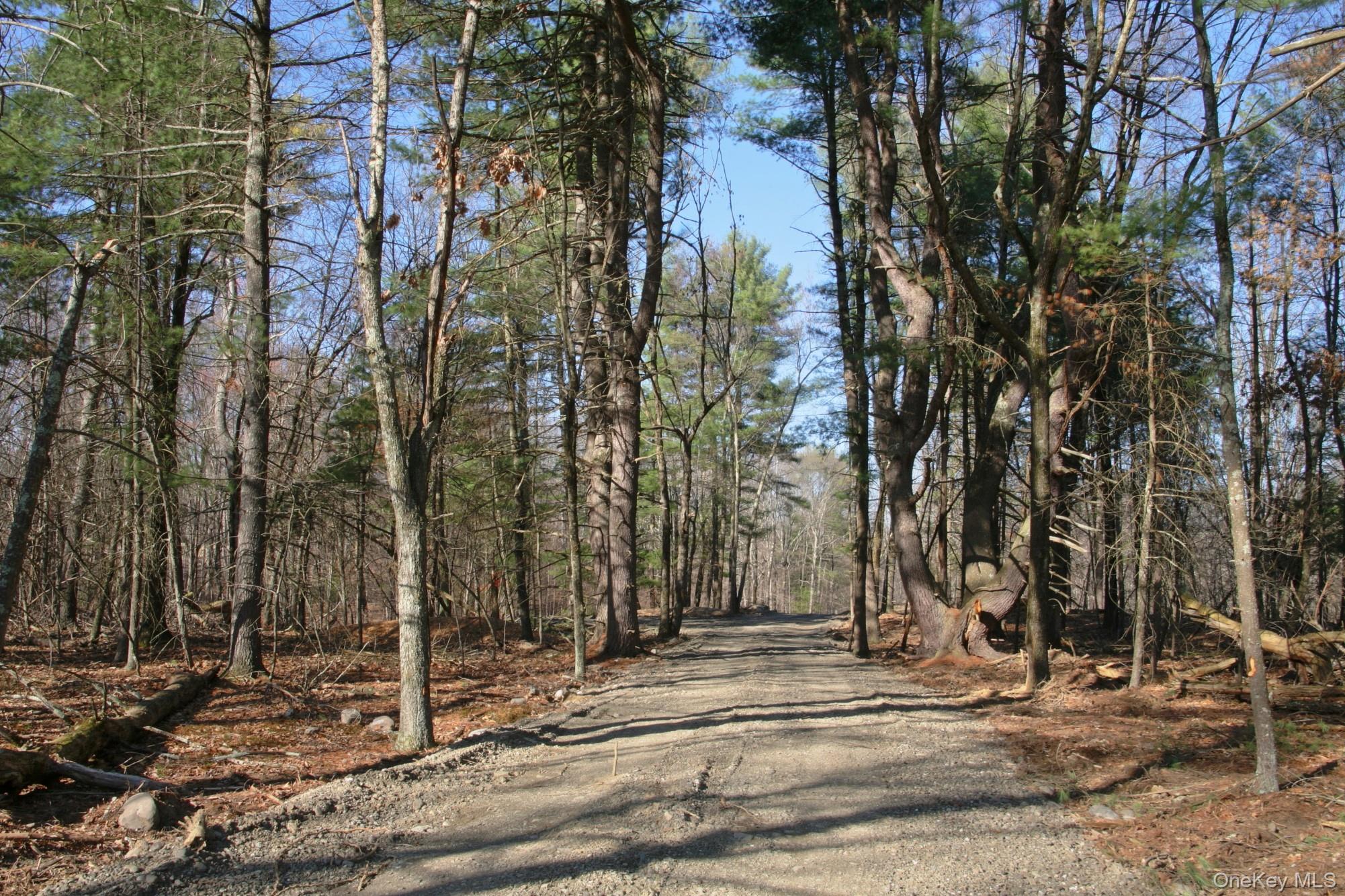 775 Academy Hill Road Property Photo 4