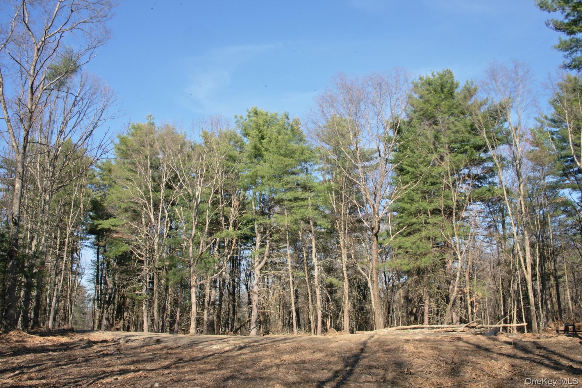 775 Academy Hill Road Property Photo 7
