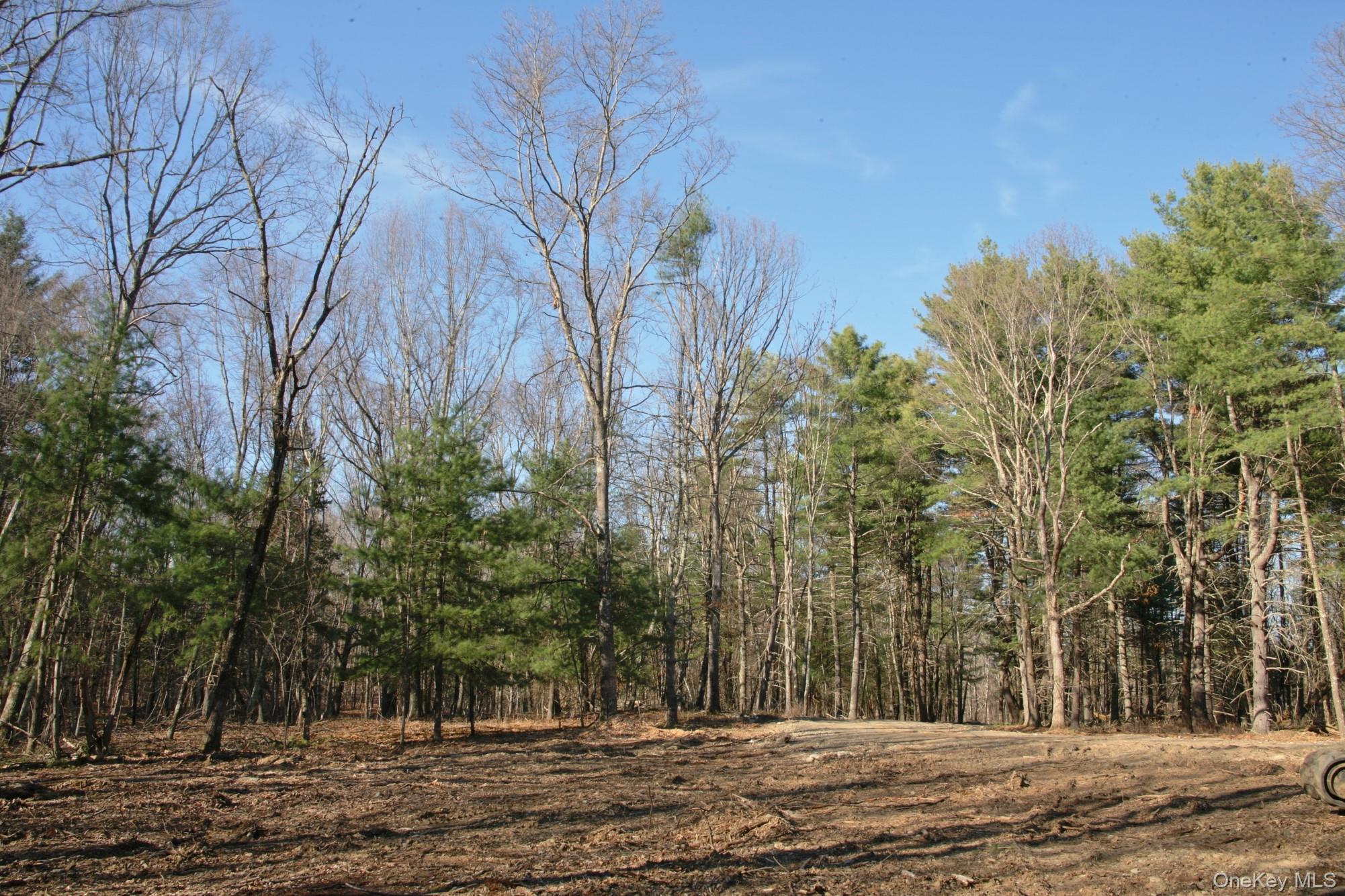775 Academy Hill Road Property Photo 8