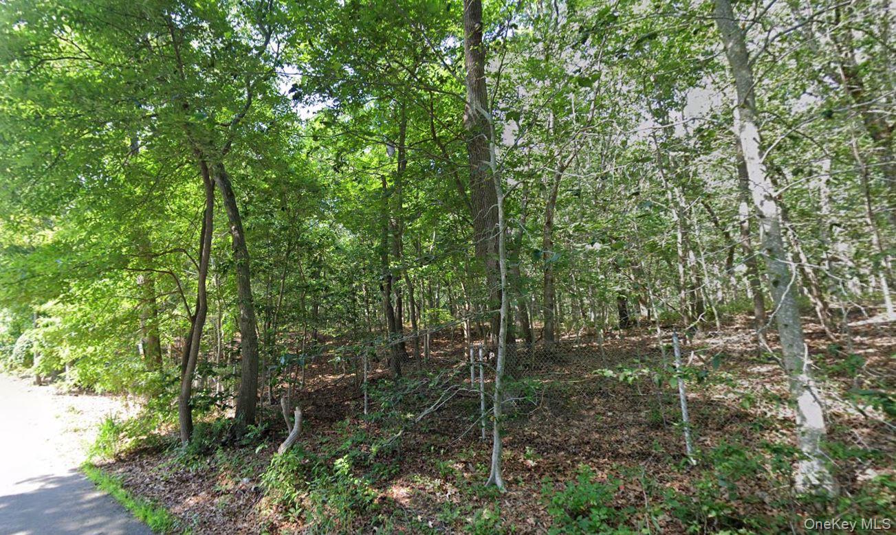 109 Fire Lane Property Photo 2
