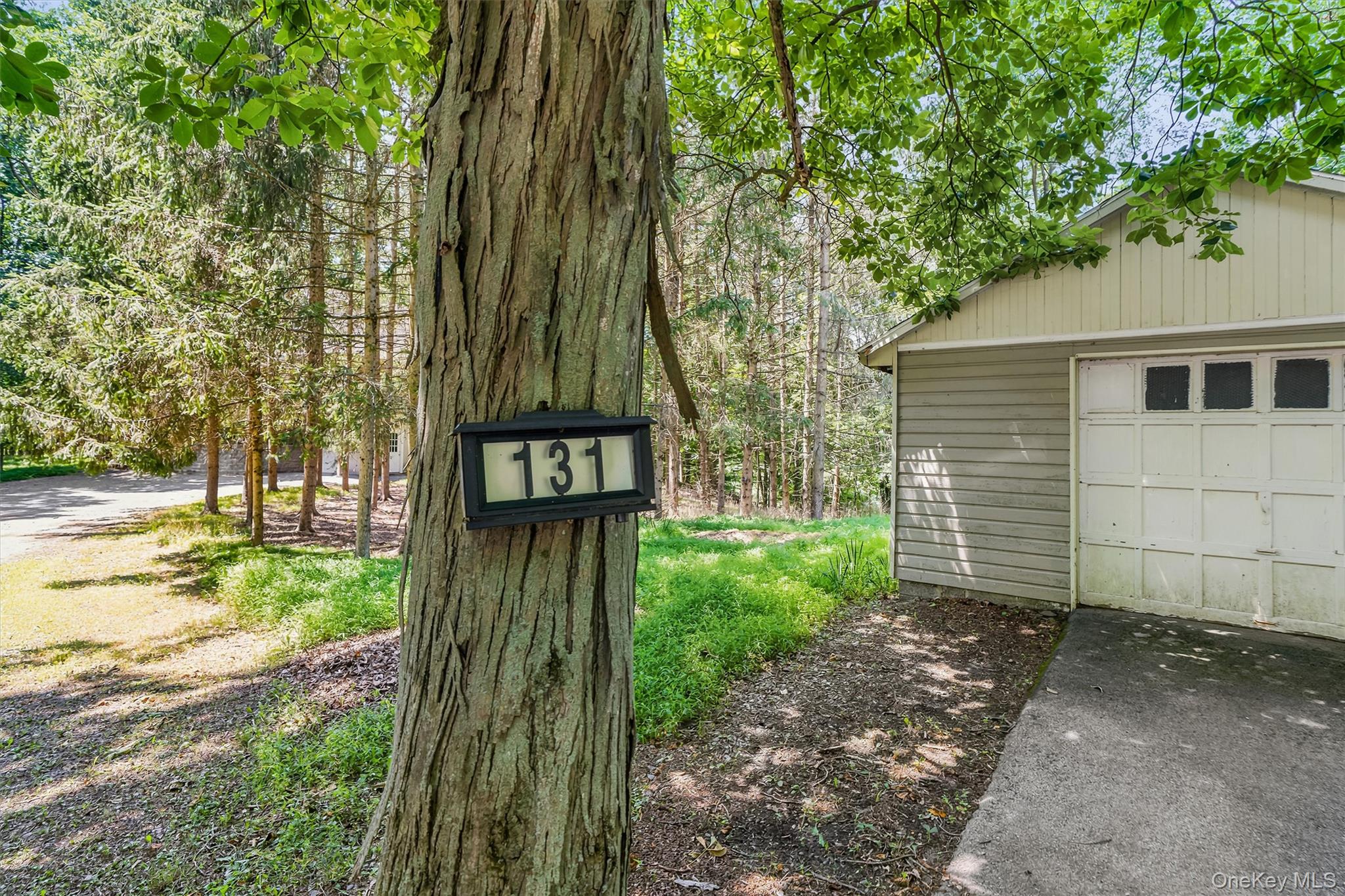 131 Hill Road Property Photo 3