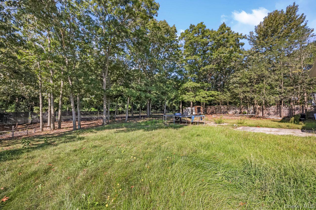 99 Ontario Street Property Photo 30