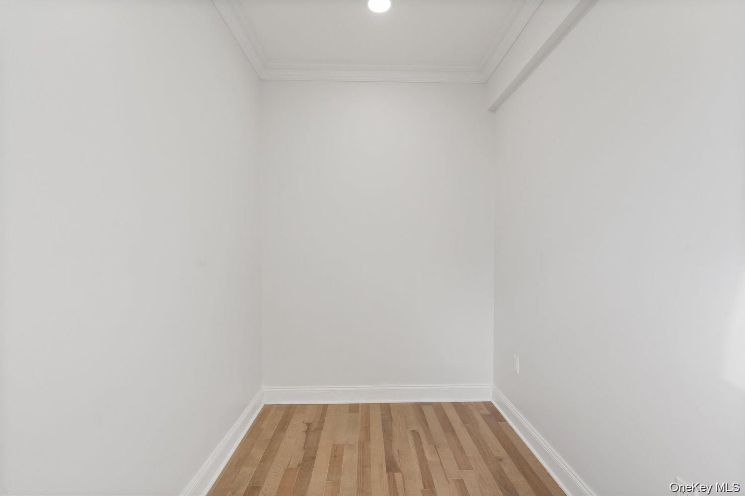46 Elton Street Property Photo 8