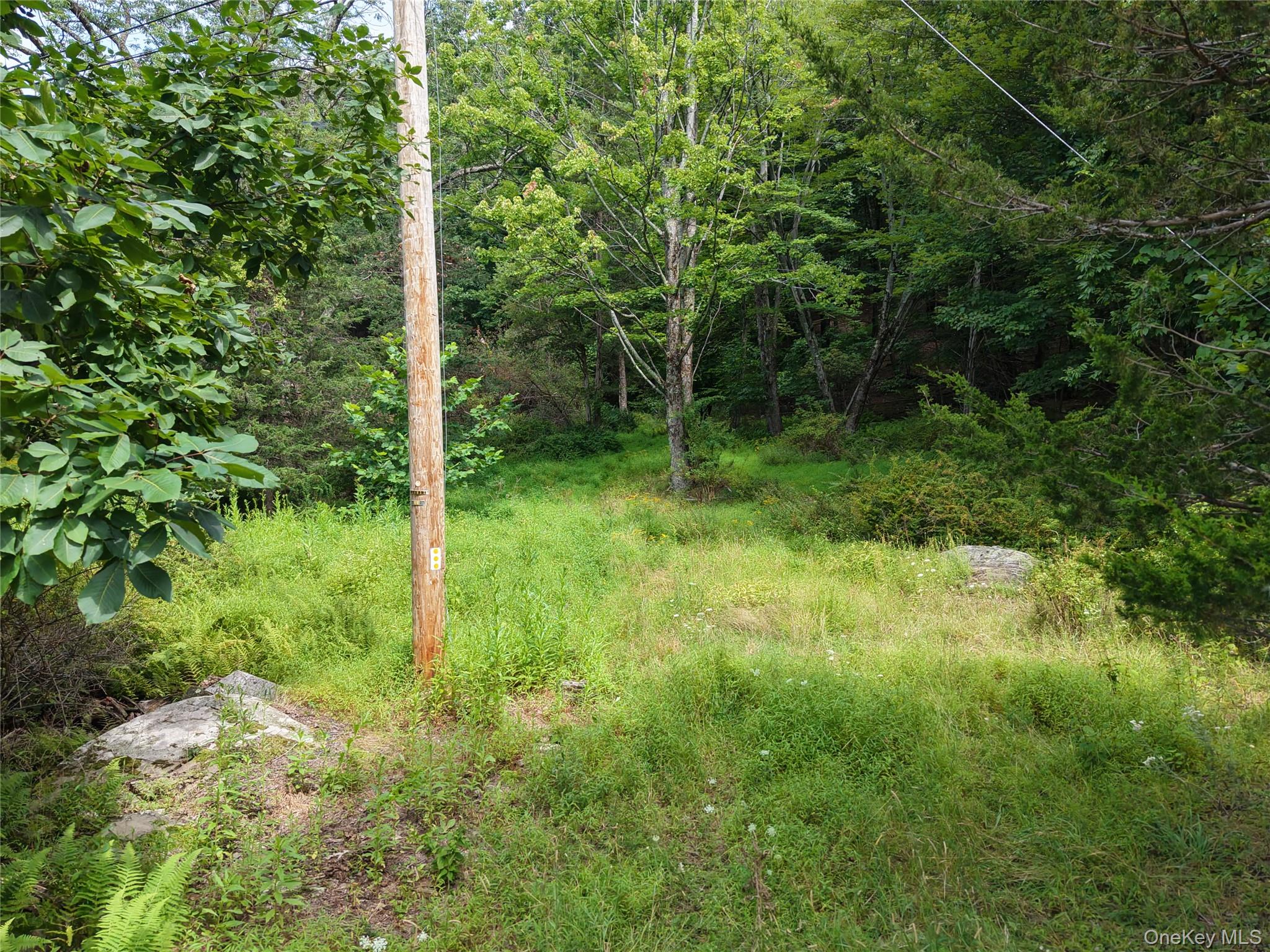 Twinshaven Road Property Photo 11