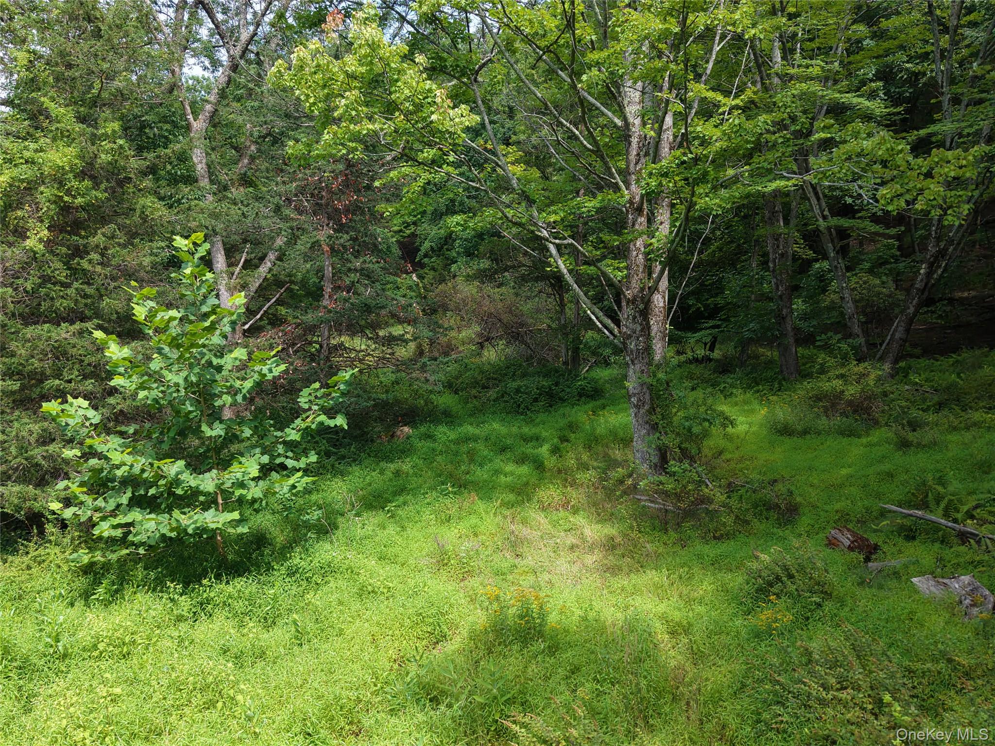 Twinshaven Road Property Photo 12