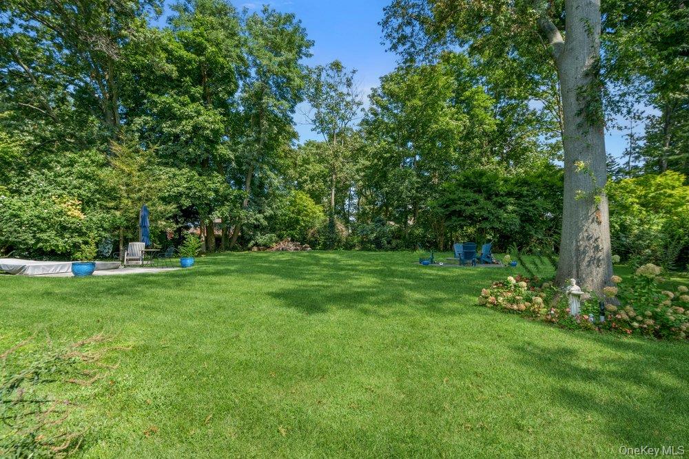 6 Shell Drive Property Photo 46